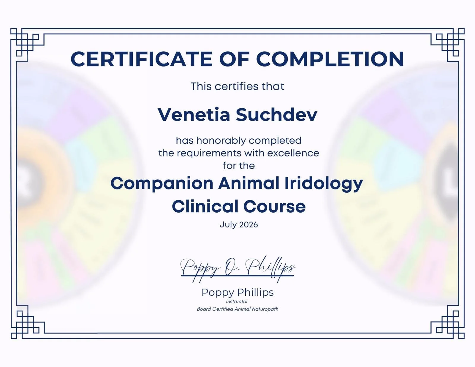 iridology certificate public.jpeg