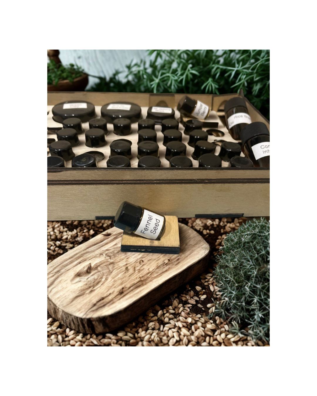 Accepting Pre-orders now! - 5.PNG