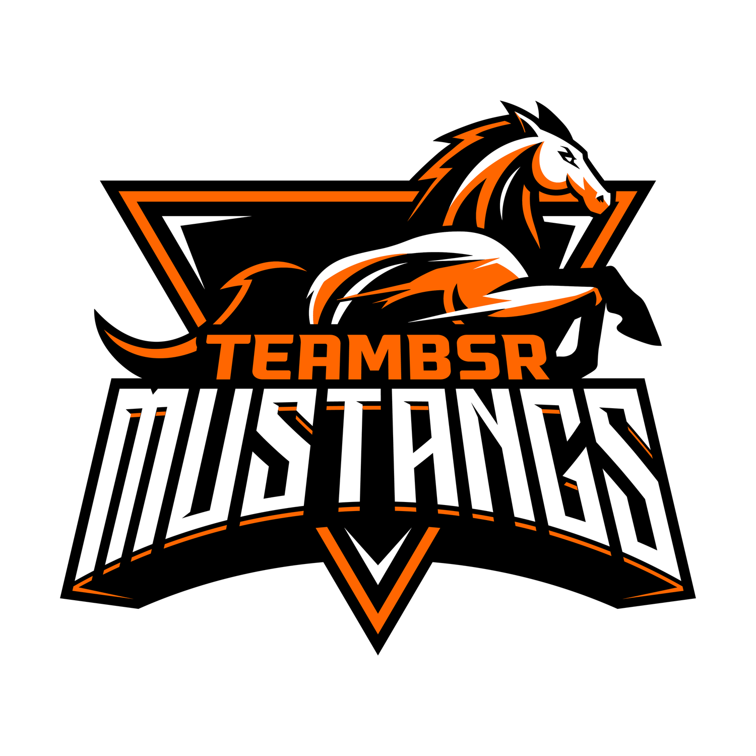 TEAMBSR