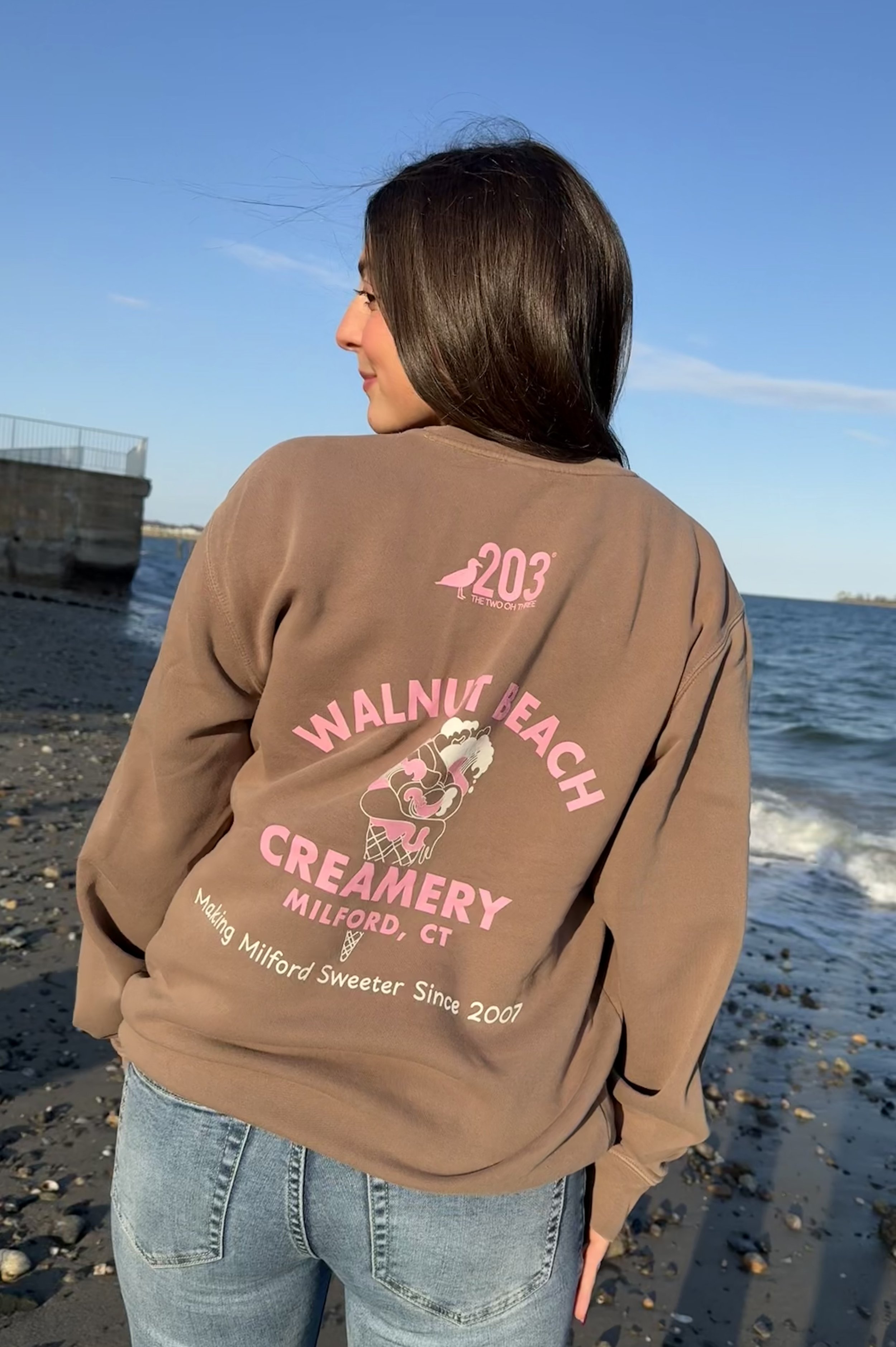 WBCxThe 203 20th Anniversary Crewneck (CLAY)