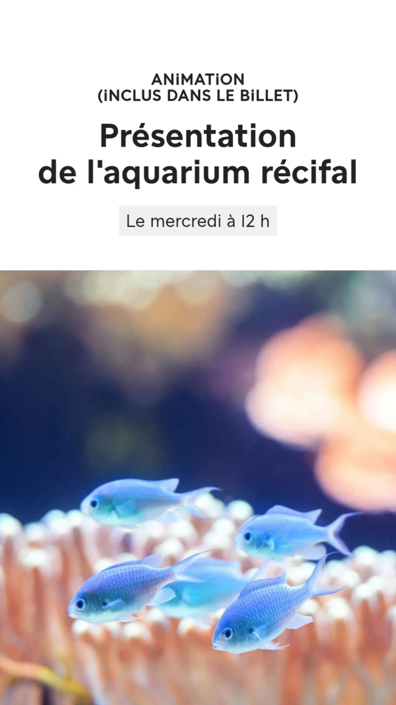 2026 Instagram story for the Zoo de Paris, MNHN, Paris