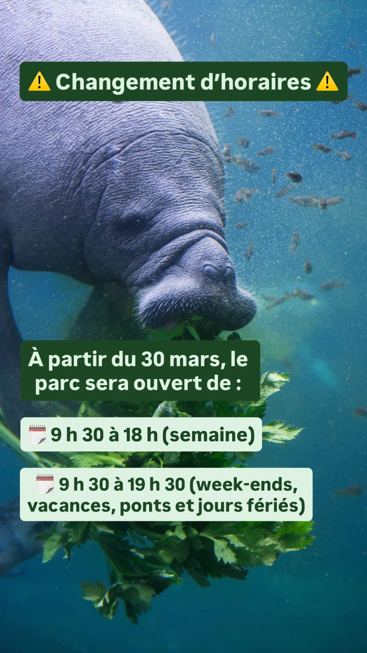 2026 Instagram story for the Zoo de Paris, MNHN, Paris