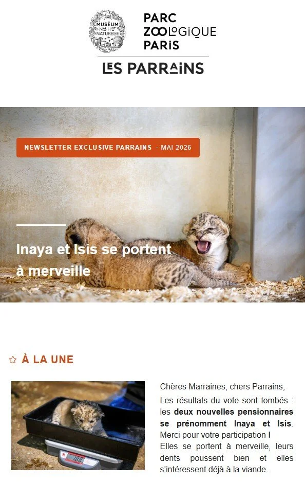 Sponsors' newsletter, MNHN, Paris, 2026