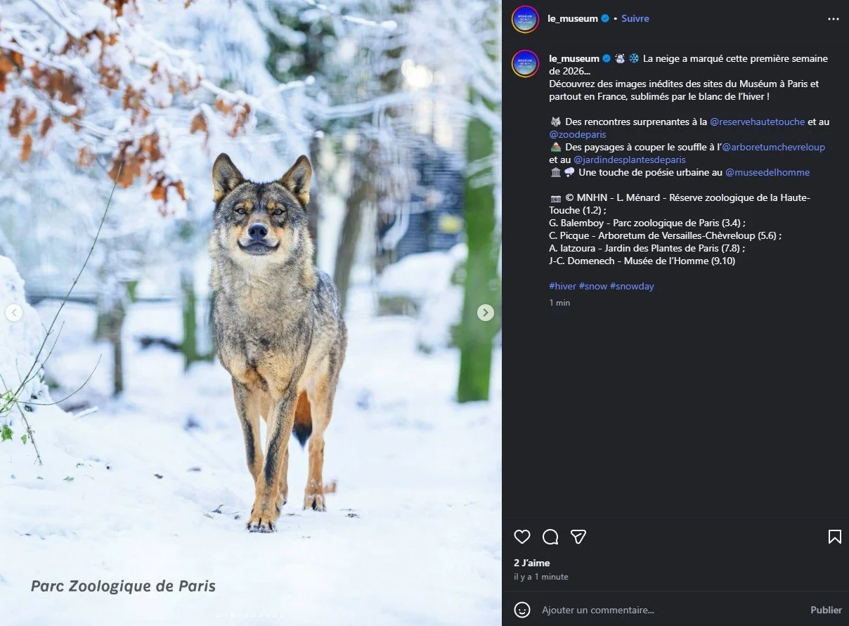 2025 Instagram post for the Museum, MNHN, Paris