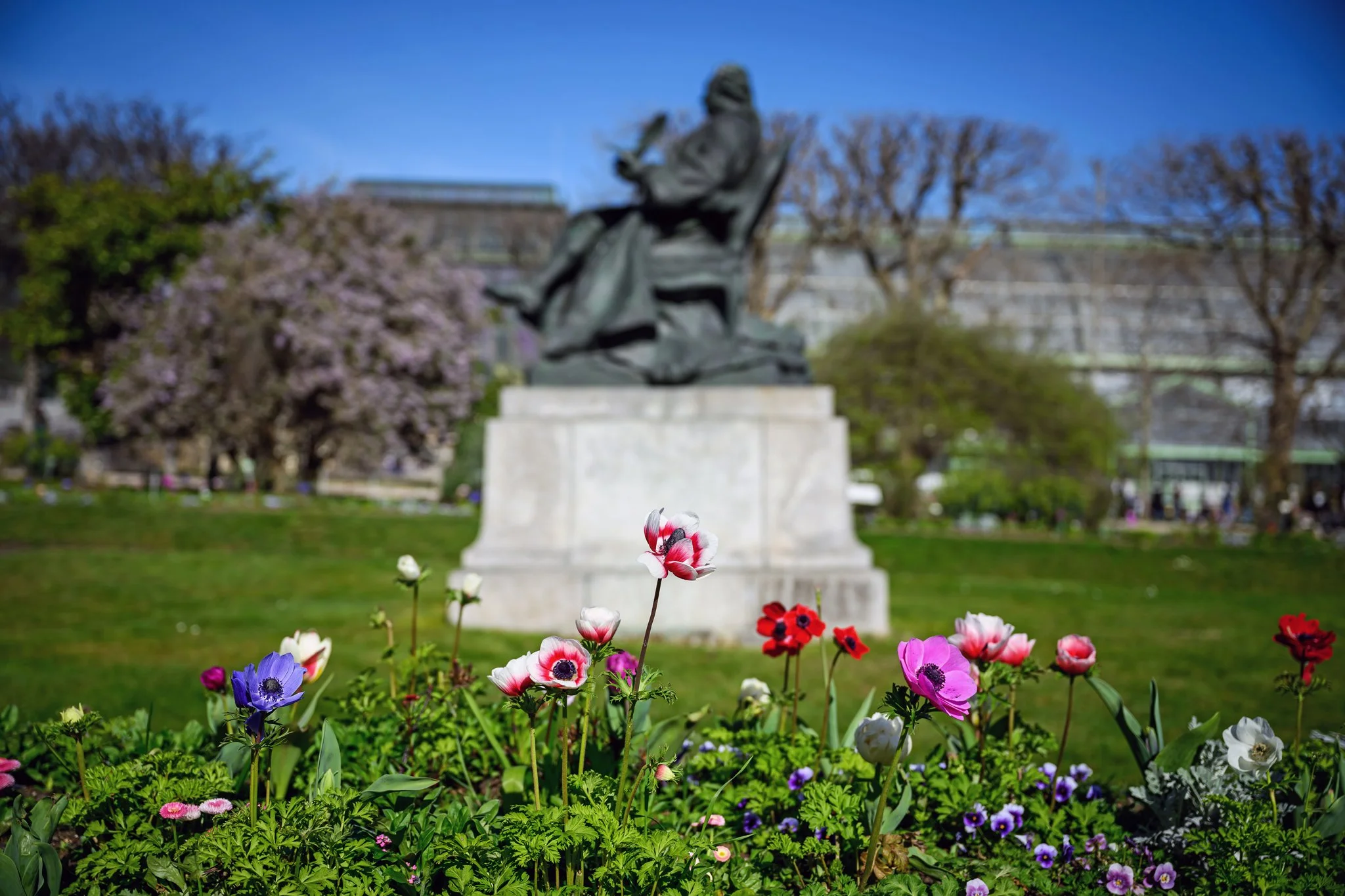 Floraison de la perspective - Mars 2026