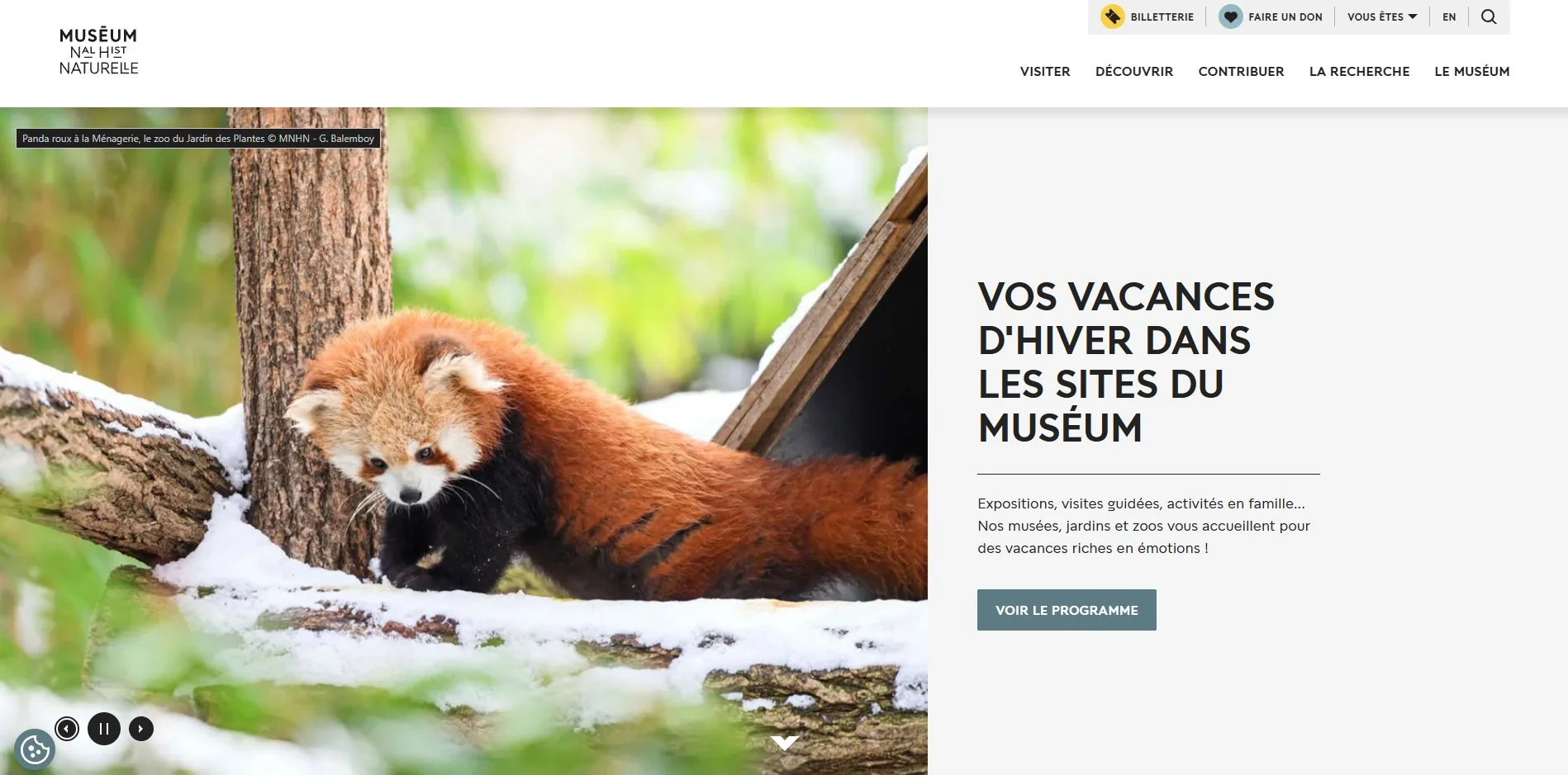Red panda, MNHN website, Paris - 2026