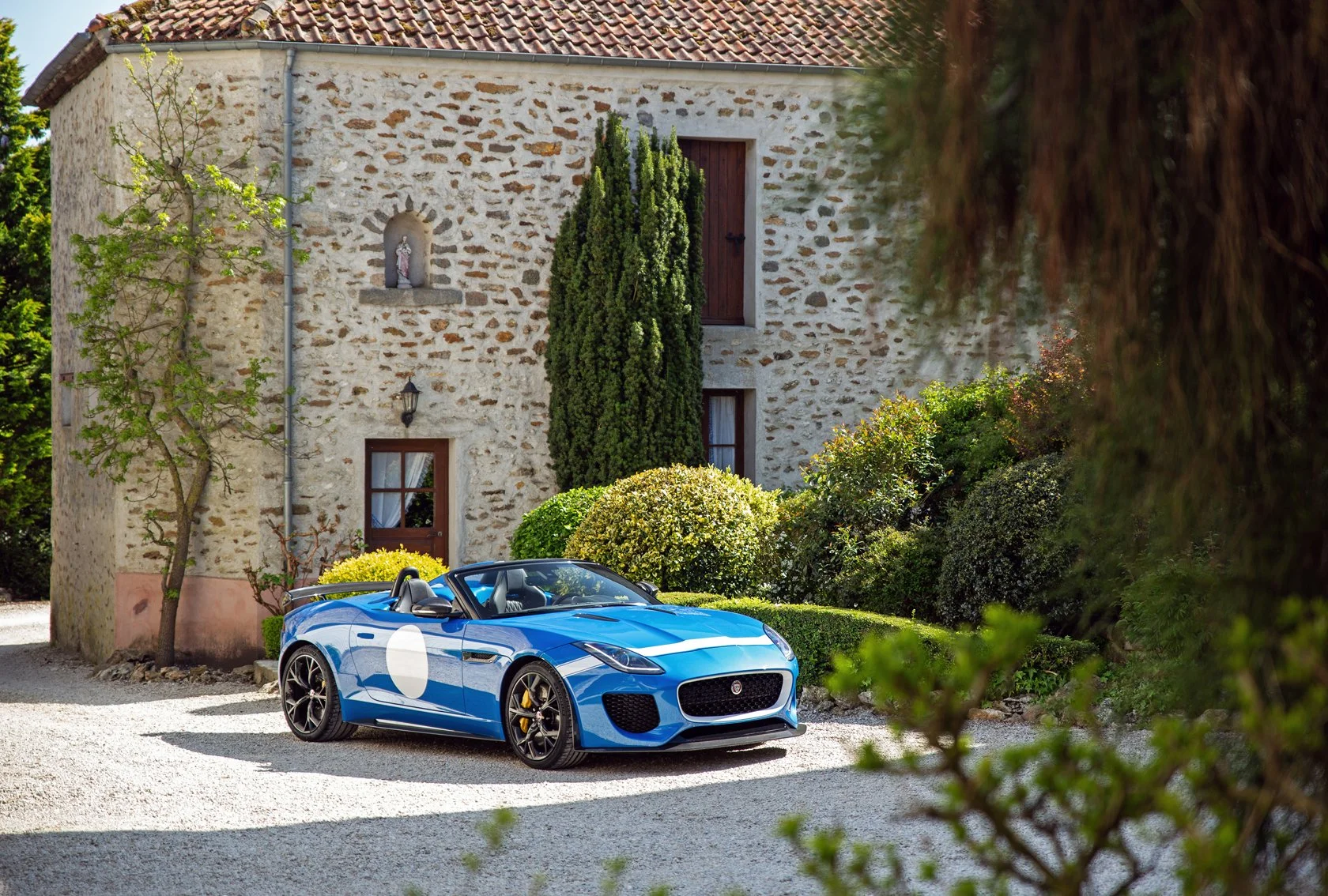 Jaguar Project-7