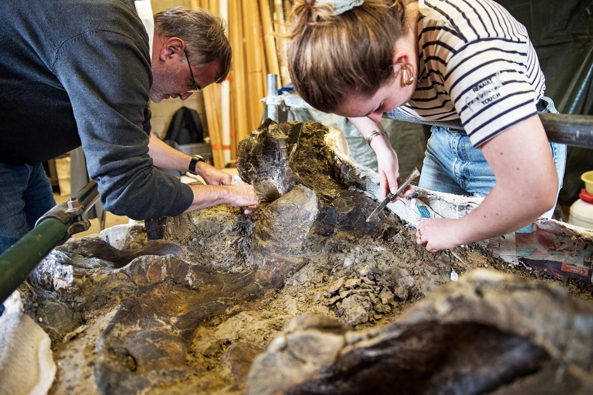 Fossile d'Angeac-Charente - Mai 2025