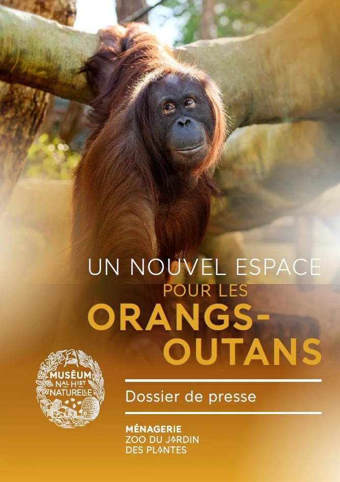 DP Ménagerie espace OO