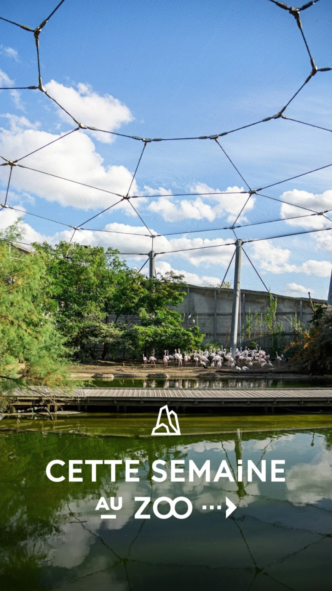 2026 Instagram story for the Zoo de Paris, MNHN, Paris