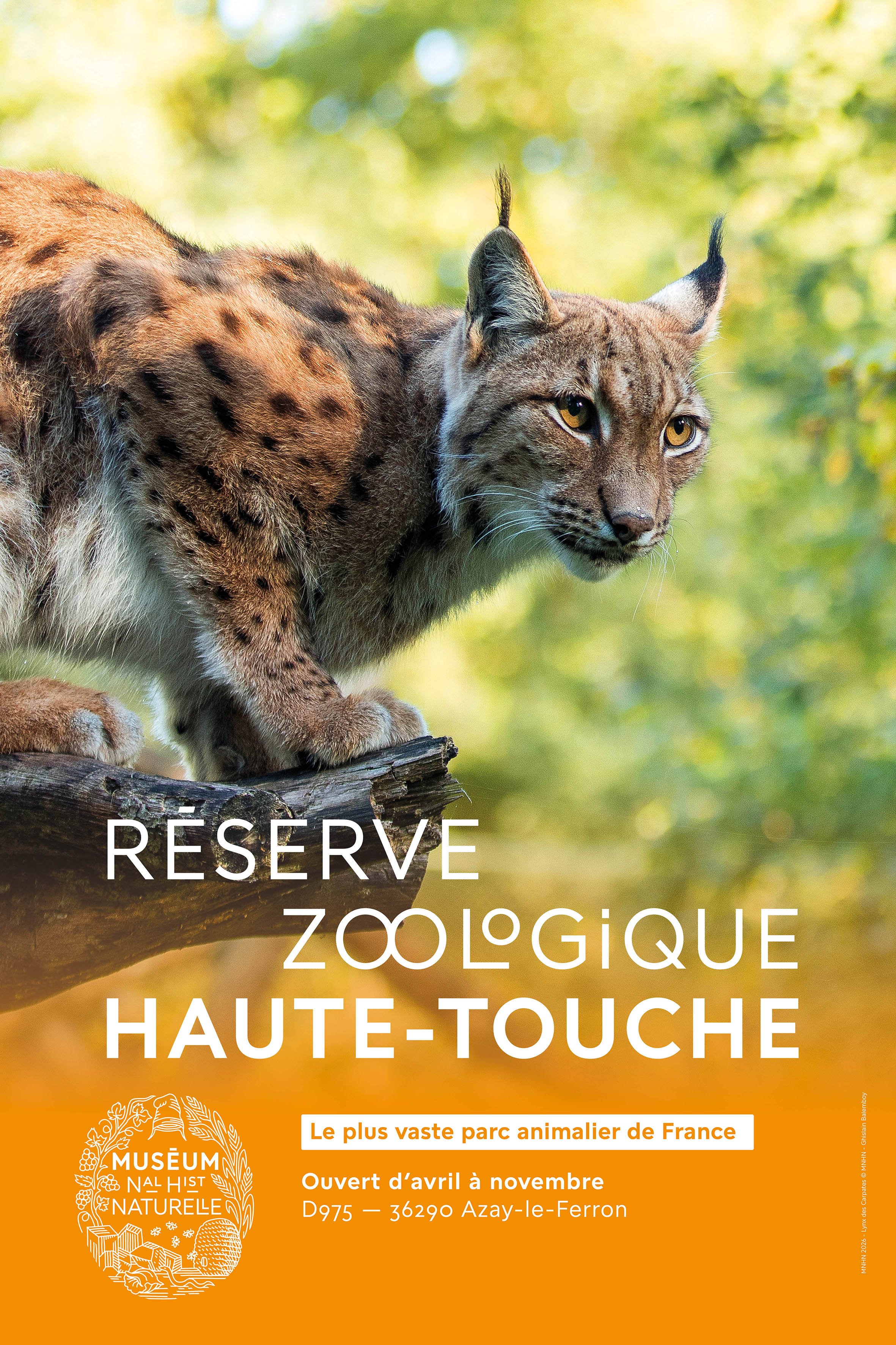 2026 visual for the "Réserve zoologique de la Haute-Touche", MNHN, Azay-le-Ferron - April 2026