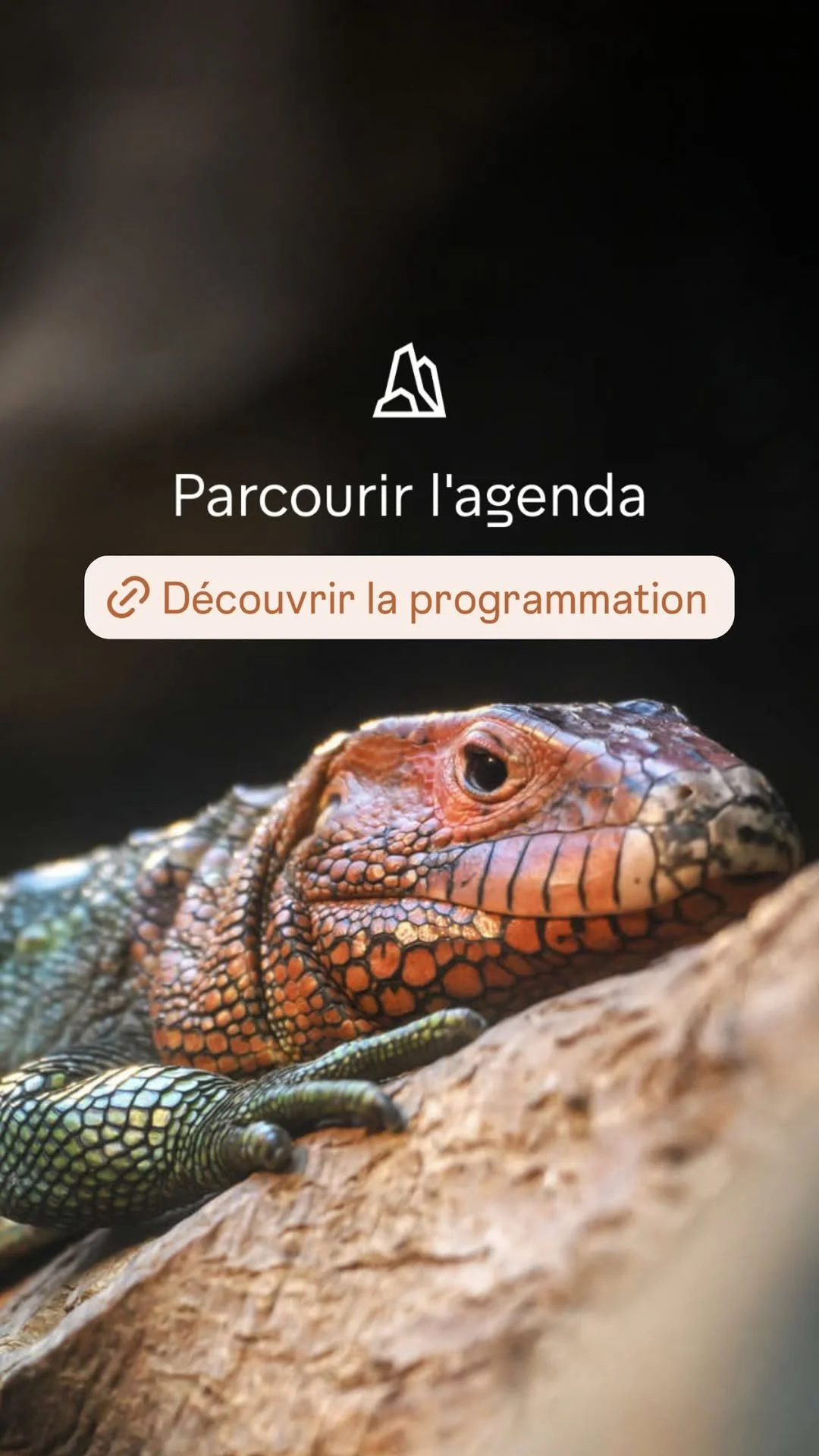 2026 Instagram story for the Zoo de Paris, MNHN, Paris