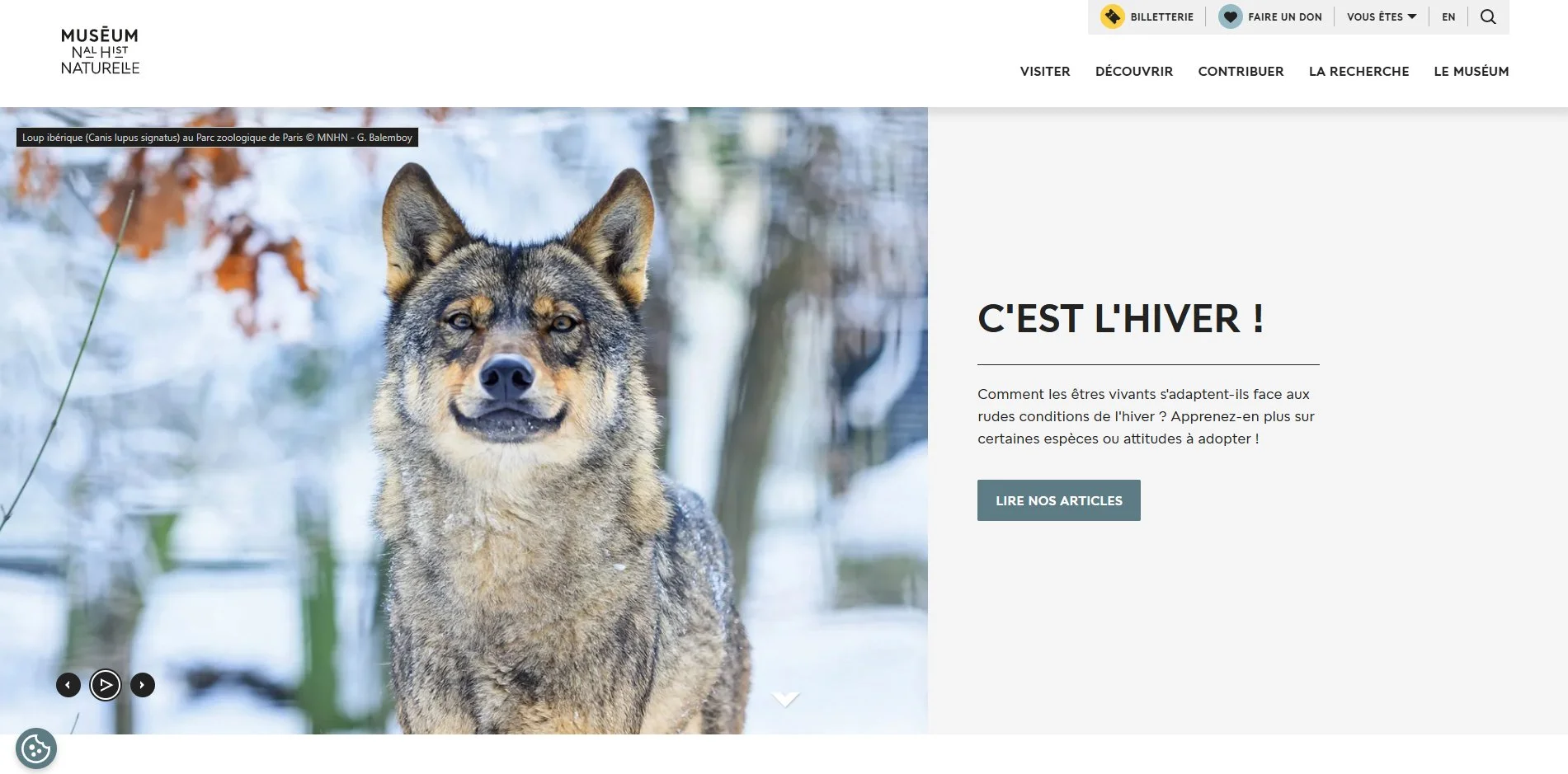 Winter, "MNHN" website, MNHN, Paris - 2026