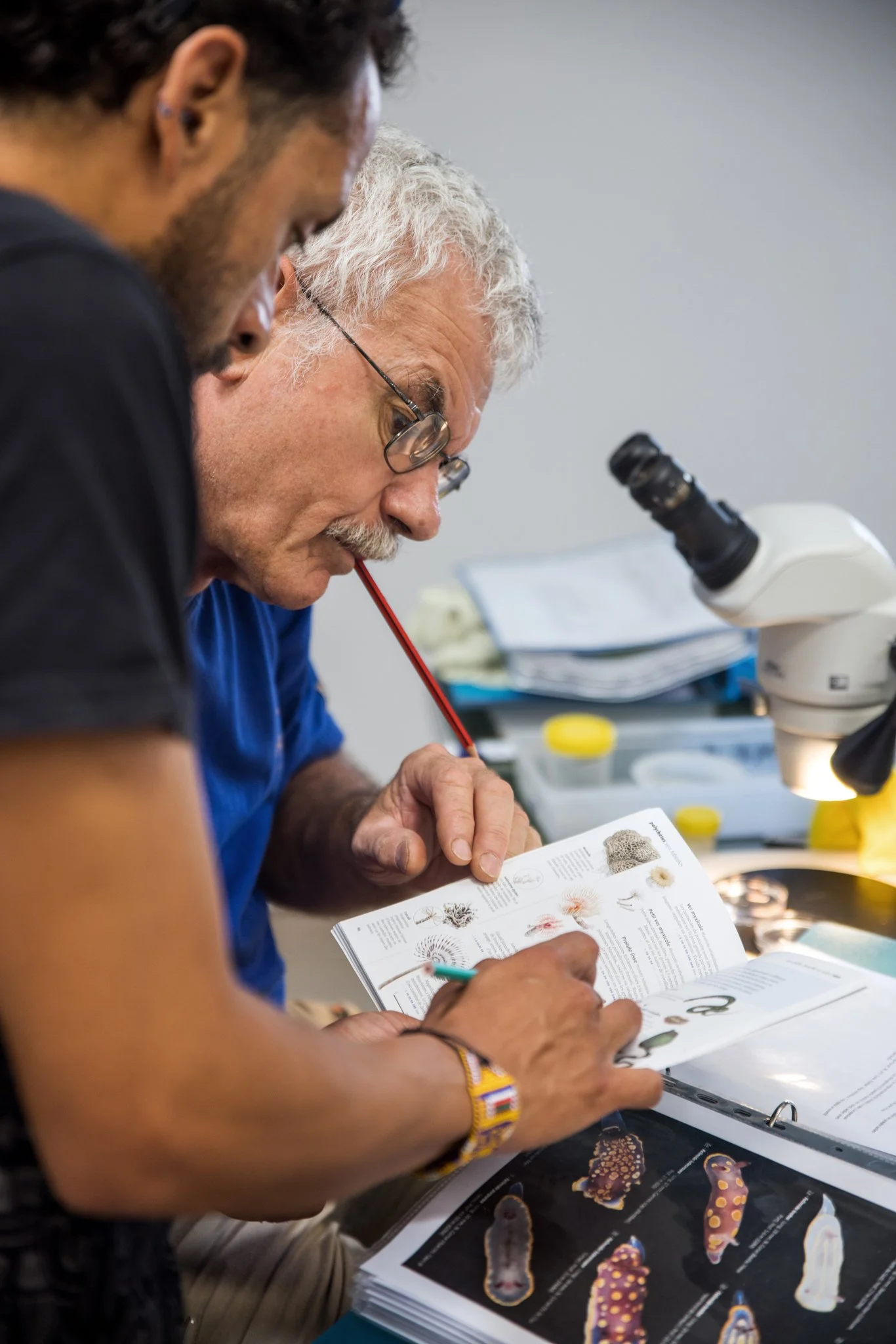 DIVE-Sea - Juin 2025