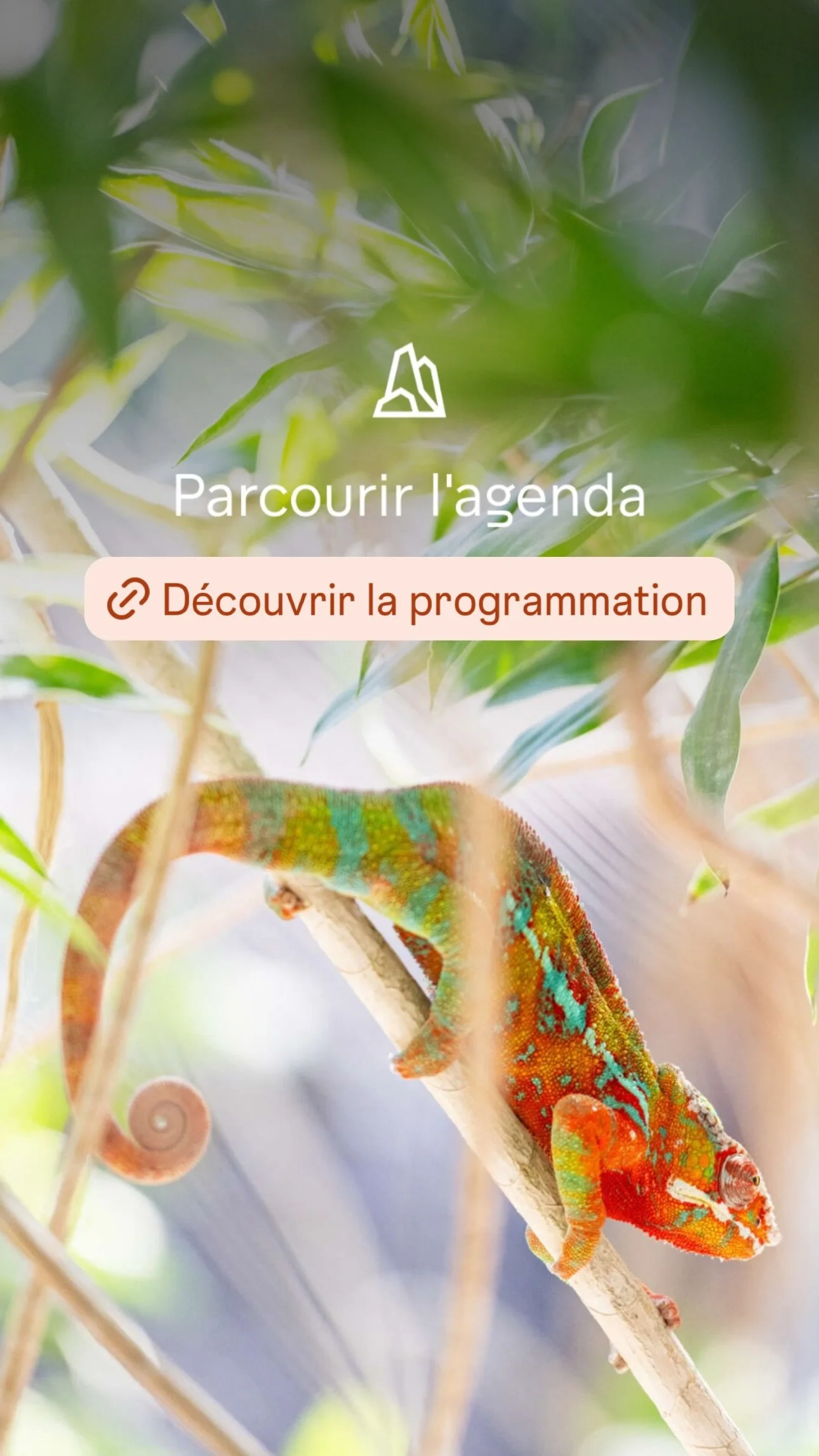2026 Instagram story for the Zoo de Paris, MNHN, Paris