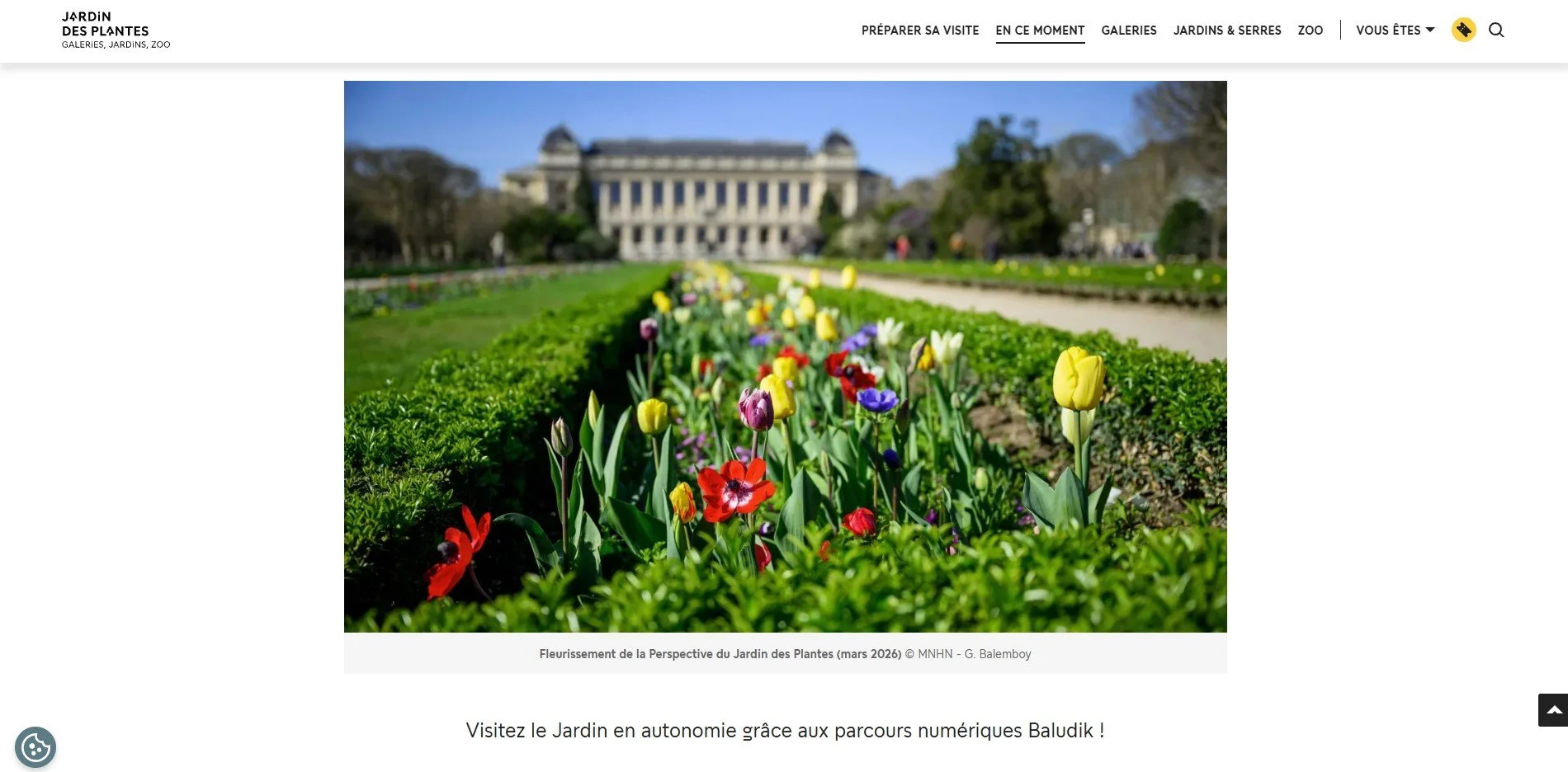 Flowering in the grand perspective, Jardin des Plantes website, 2026