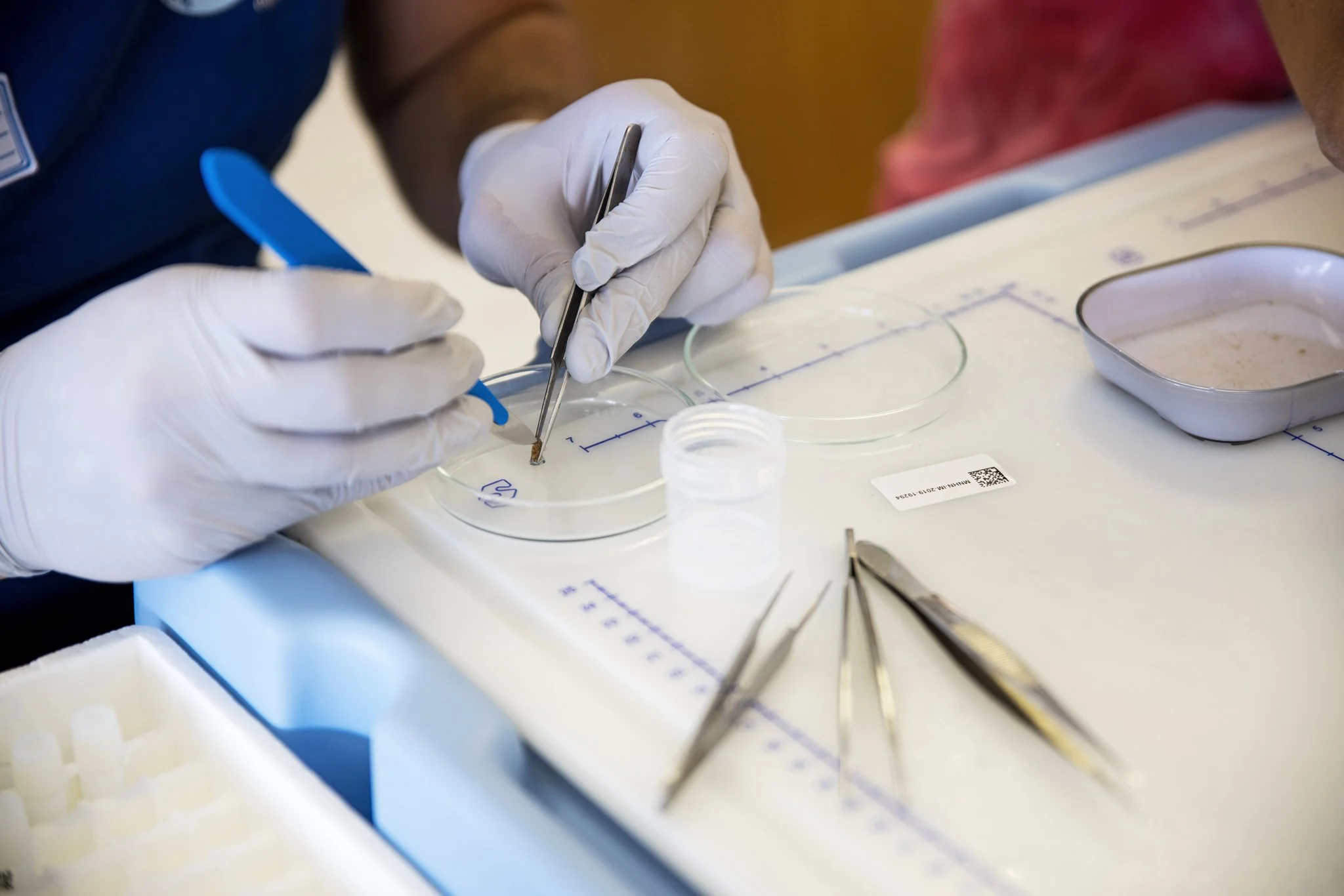 DIVE-Sea - Juin 2025