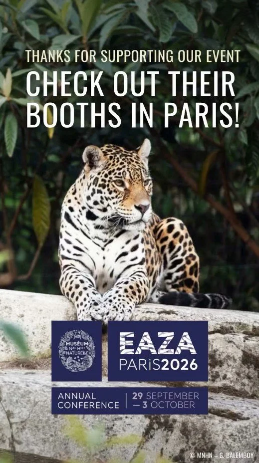 2026 Instagram story for EAZA