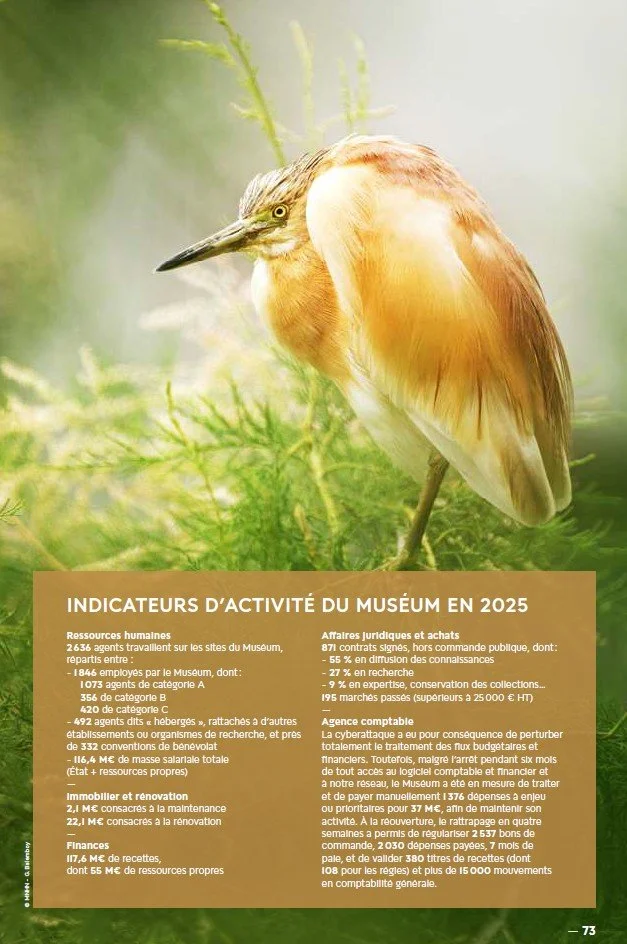 Rapport d'activité 2025, MNHN, Paris, 2026