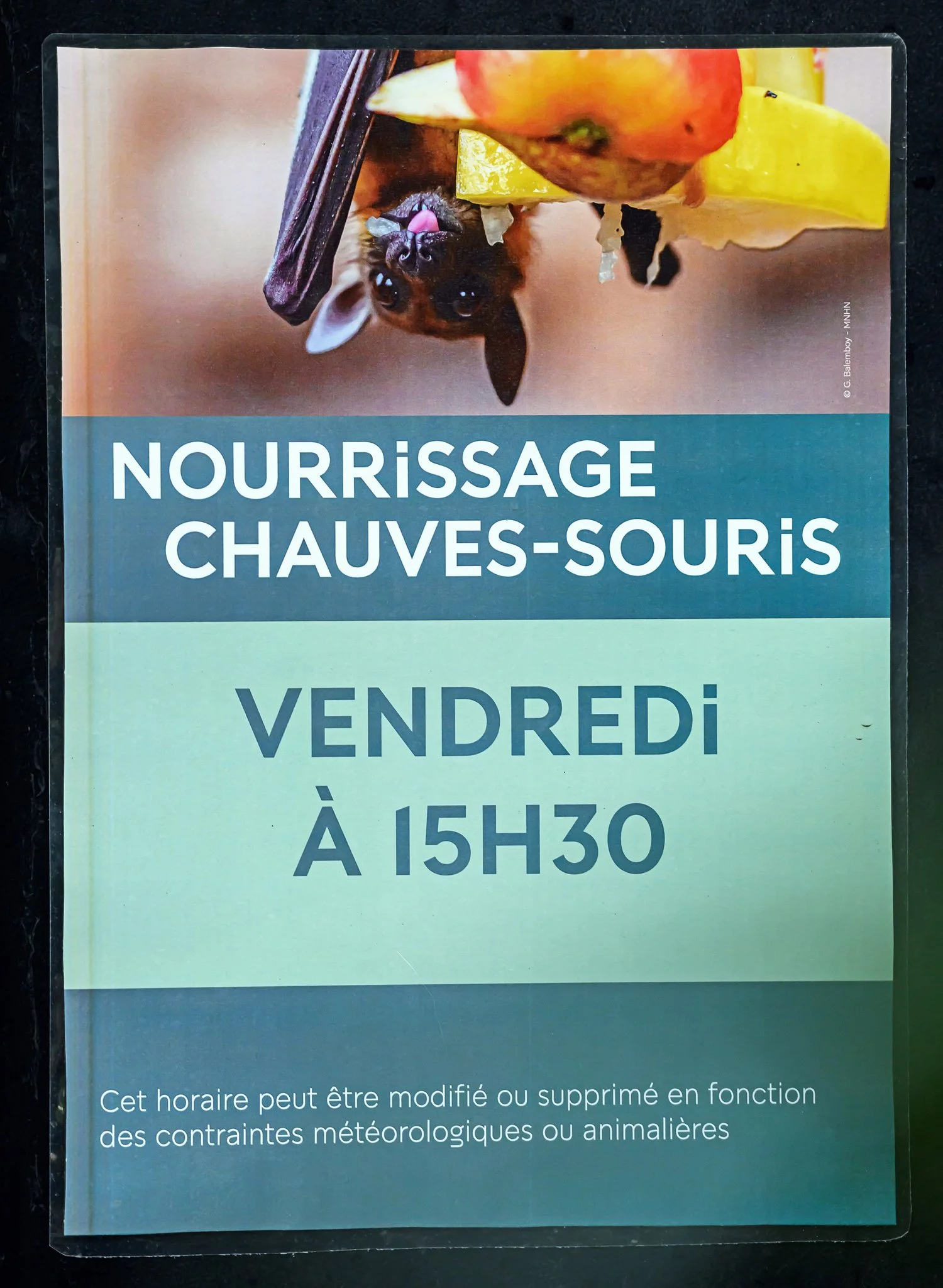 Display in the tropical greenhouse, Zoo de Paris, MNHN - 2026