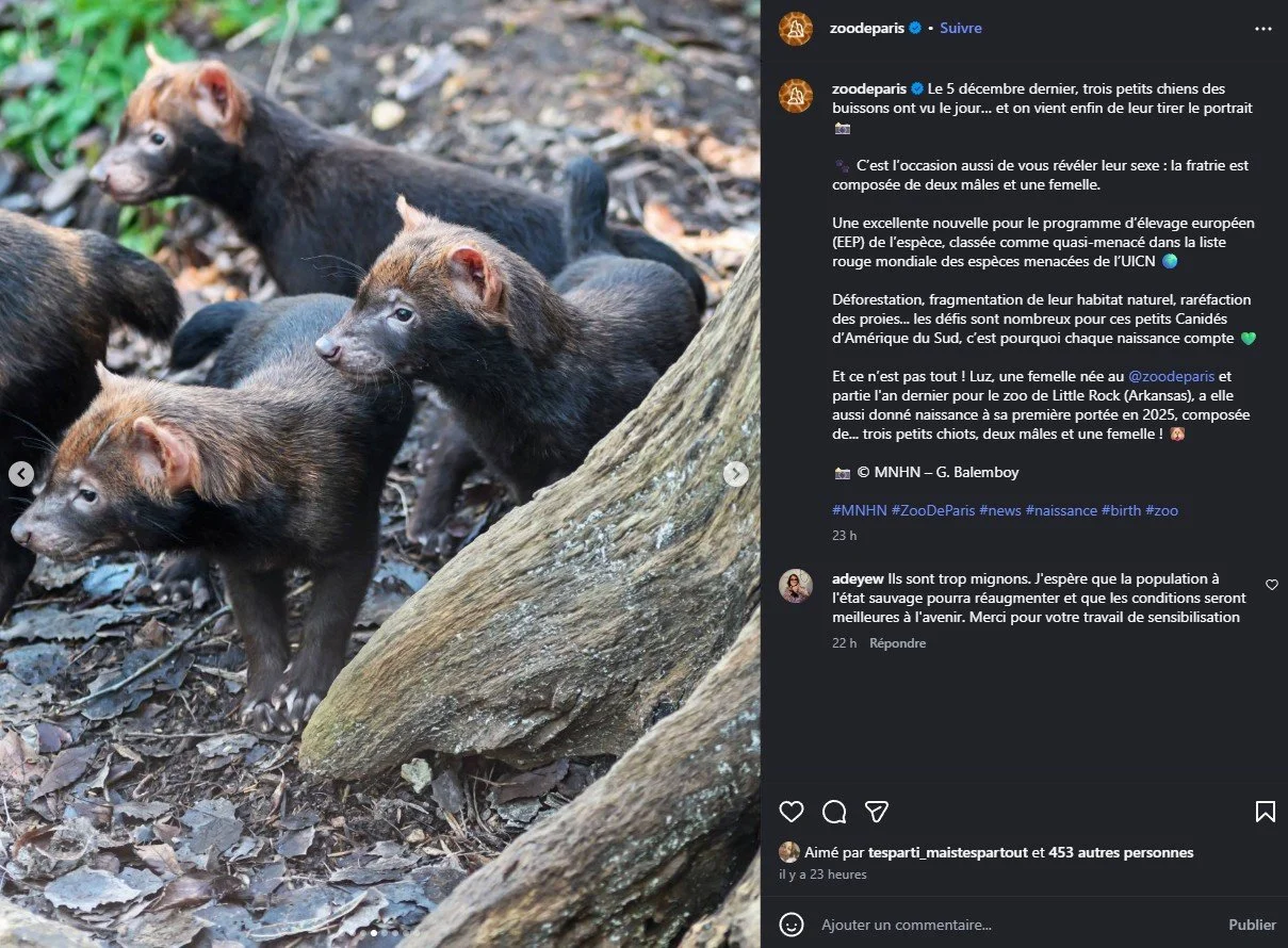 2026 Instagram post for the Zoo de Paris, MNHN, Paris