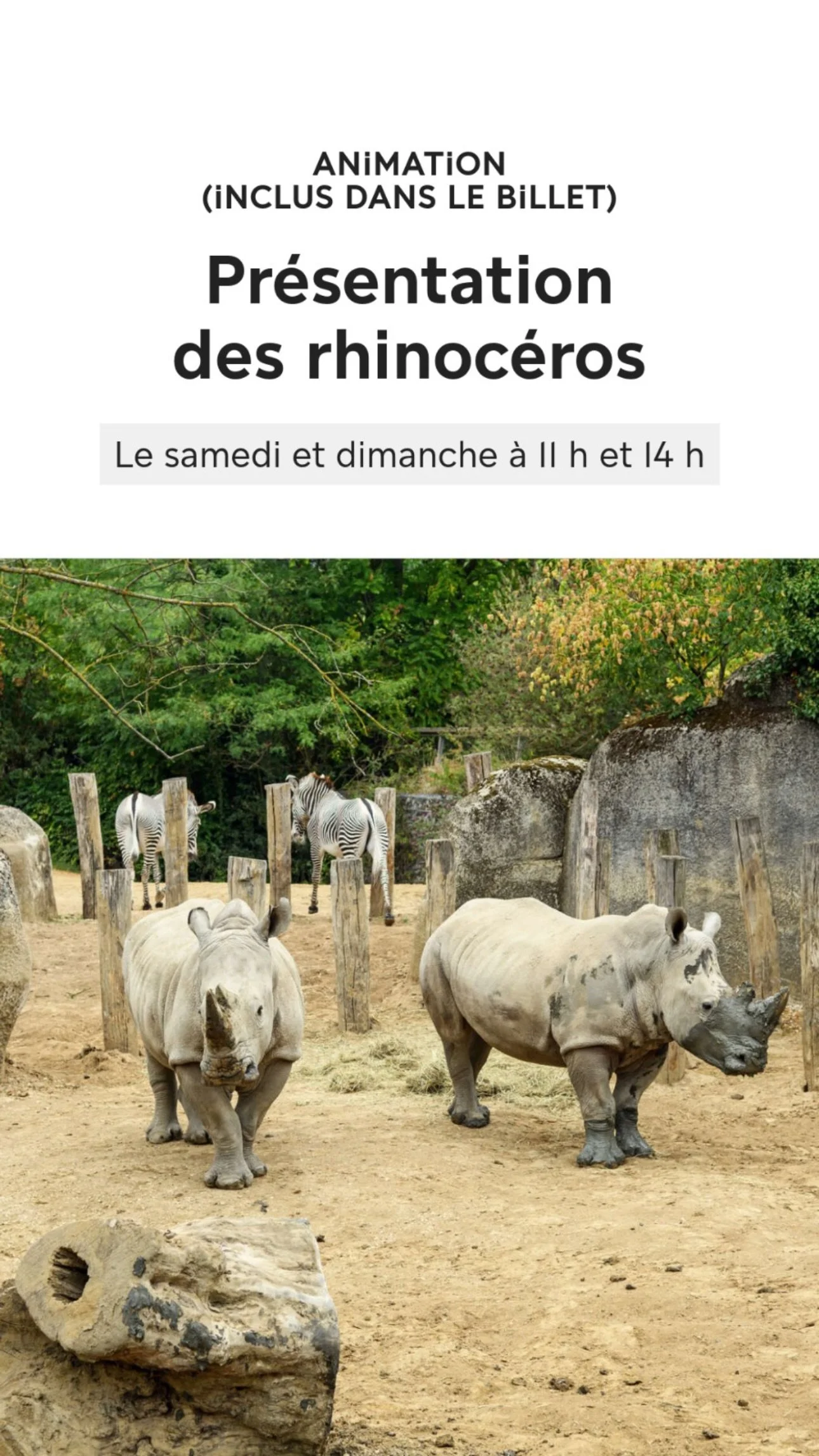 2026 Instagram story for the Zoo de Paris, MNHN, Paris