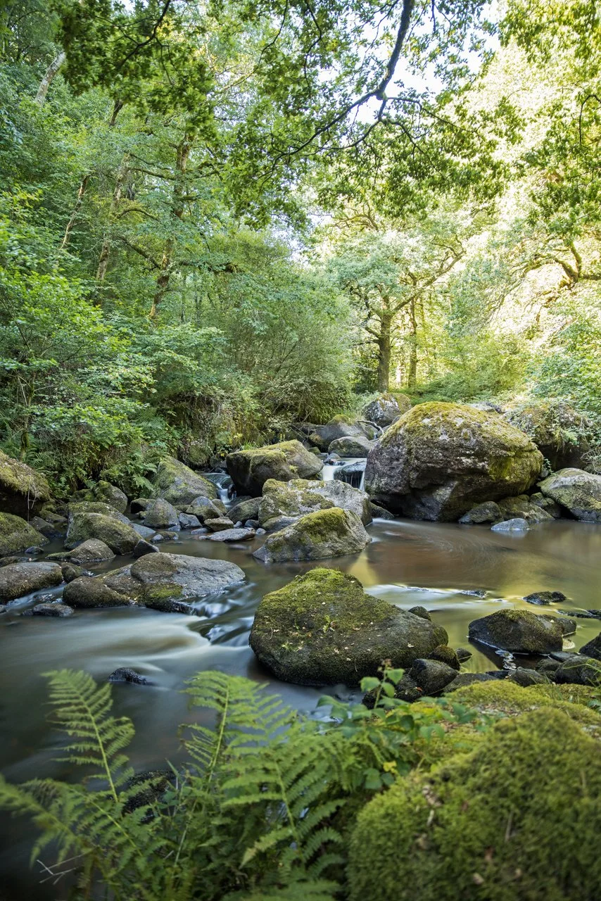 Rigole du diable, Le Monteil-au-Vicomte, Creuse, France - 2025