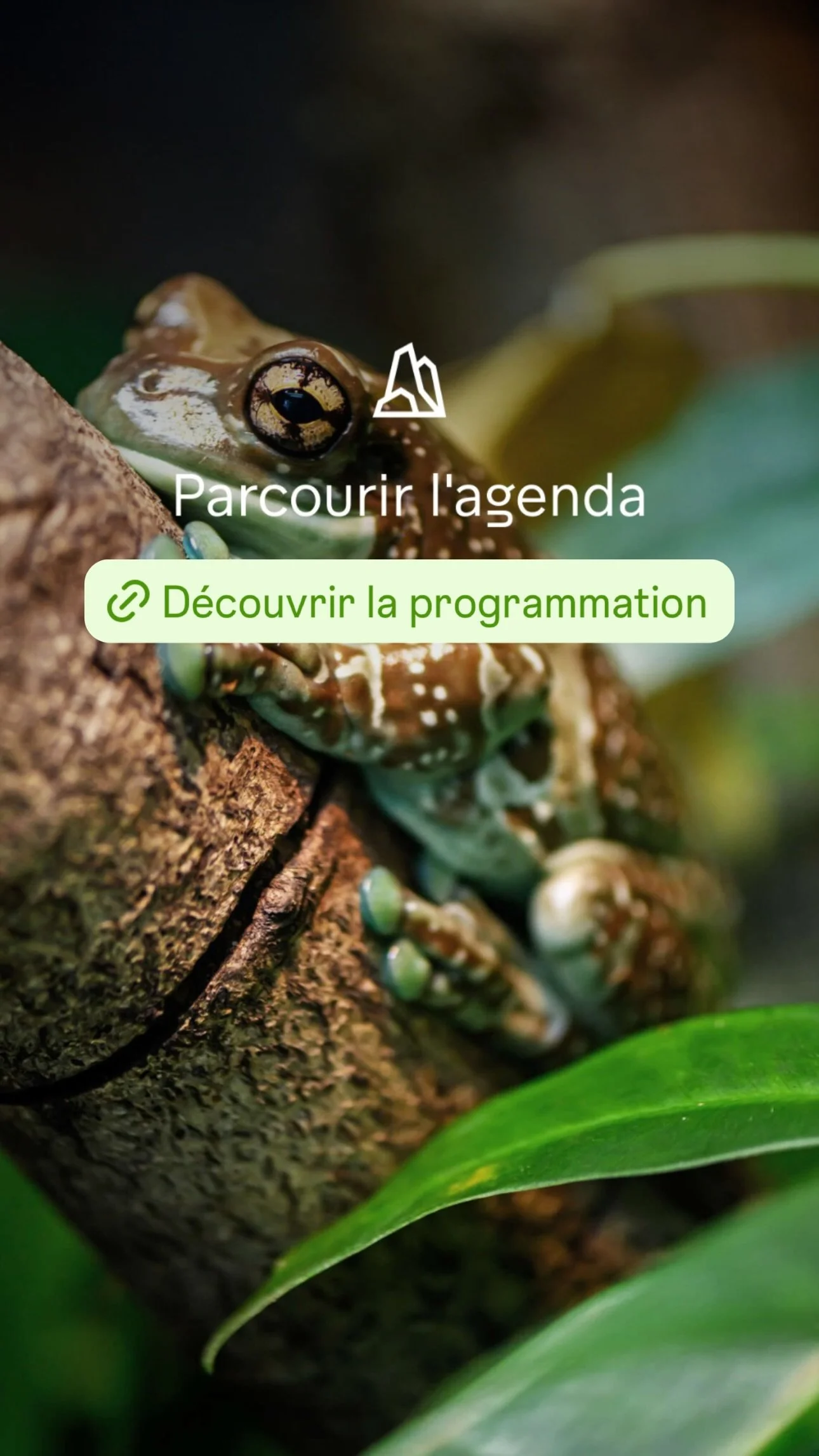 2026 Instagram story for the Zoo de Paris, MNHN, Paris