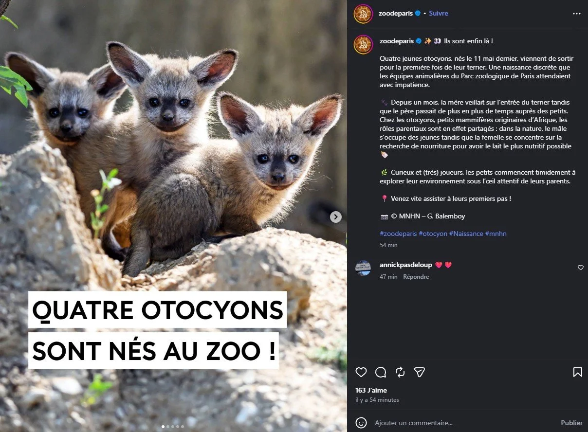 2026 Instagram post for the Zoo de Paris, MNHN, Paris