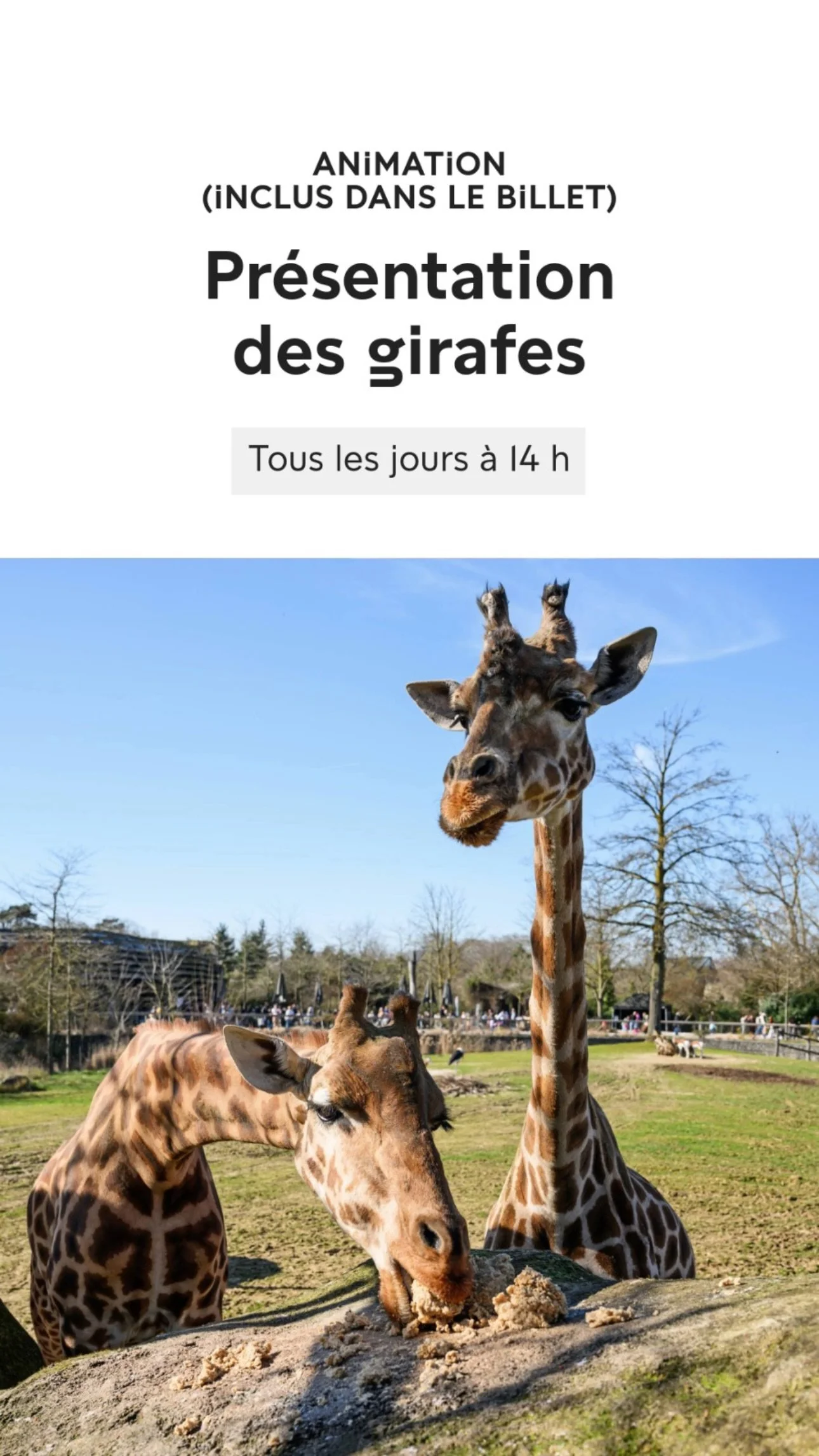 2026 Instagram story for the Zoo de Paris, MNHN, Paris