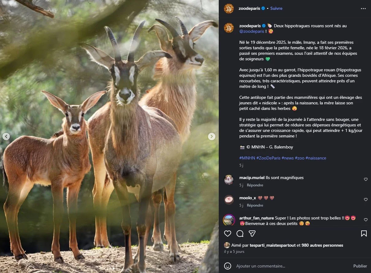 2026 Instagram post for the Zoo de Paris, MNHN, Paris