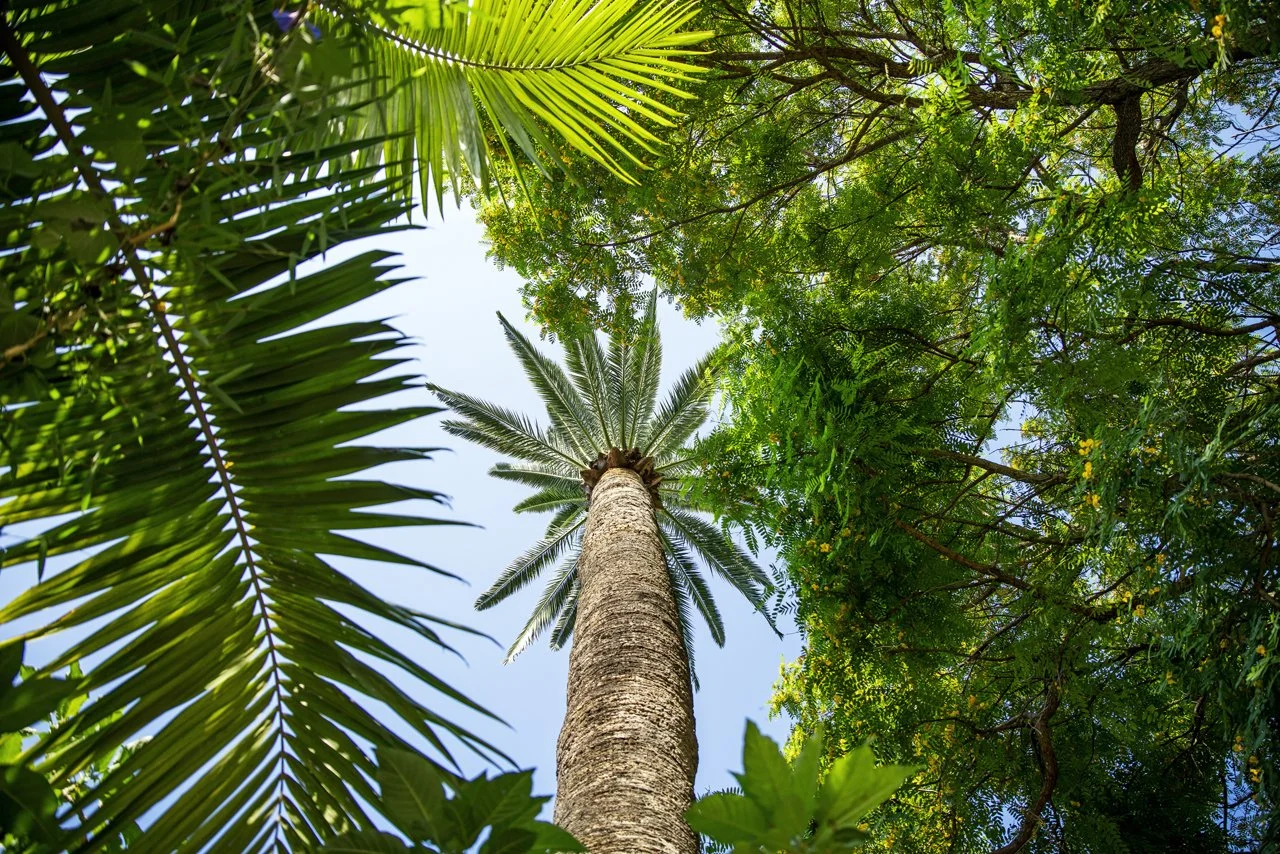Jardin botanique du Val Rahmeh, Menton, France - 2025
