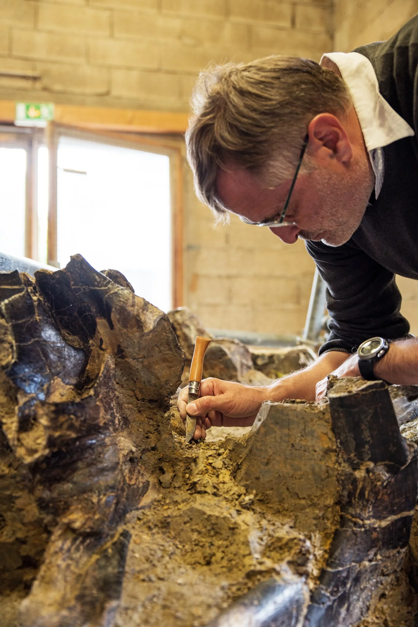 Fossile d'Angeac-Charente - Mai 2025