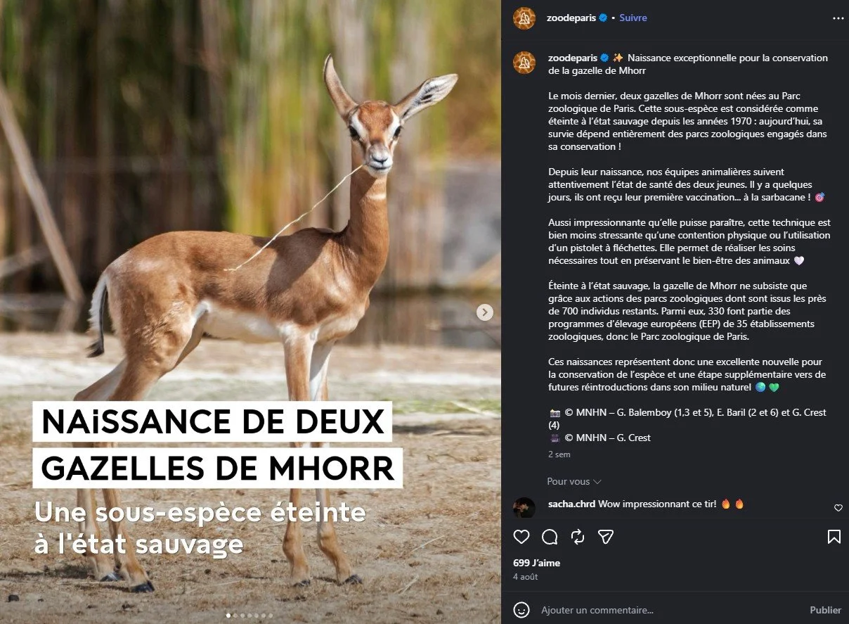 2026 Instagram post for the Zoo de Paris, MNHN, Paris
