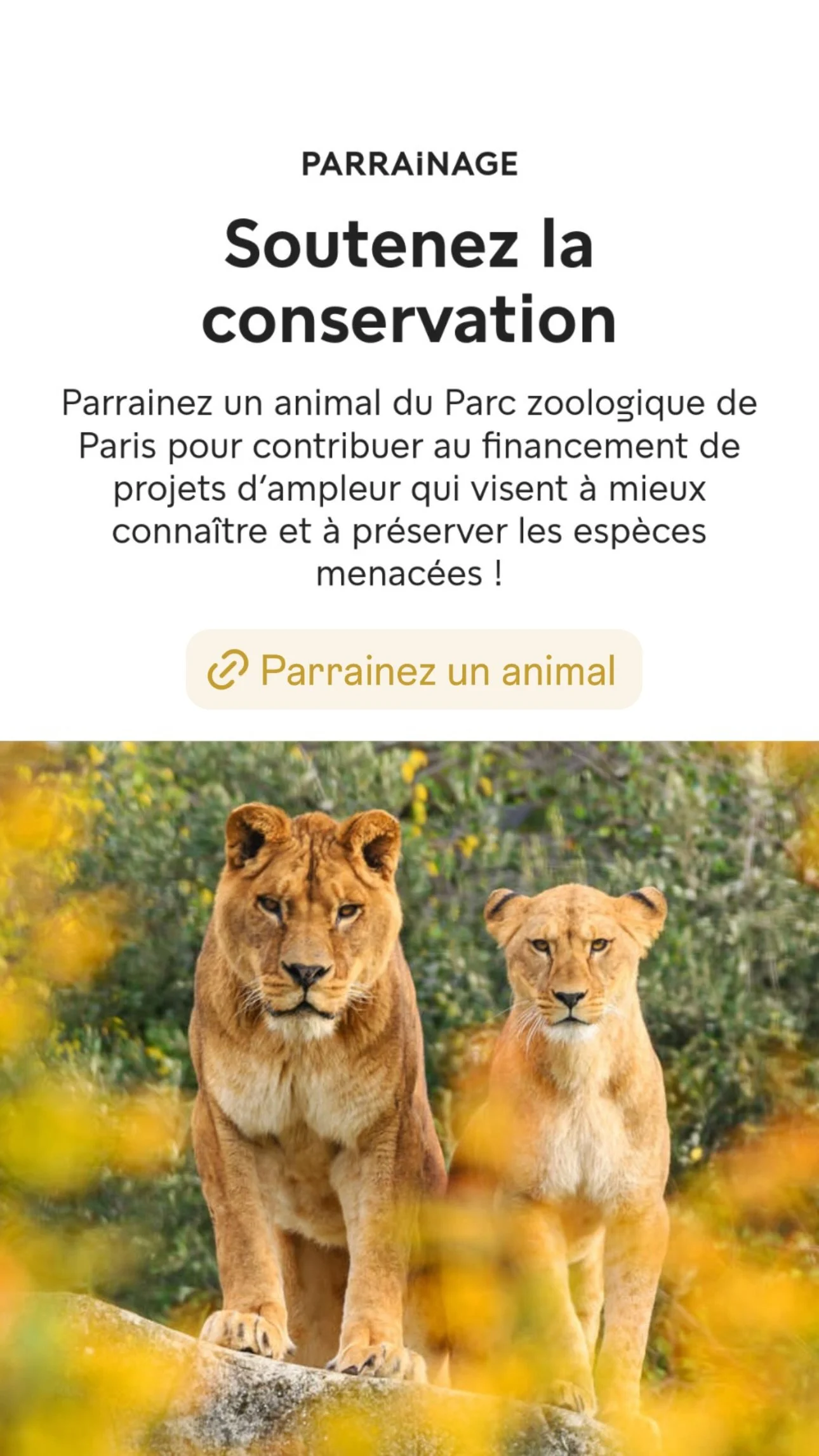 2026 Instagram story for the Zoo de Paris, MNHN, Paris