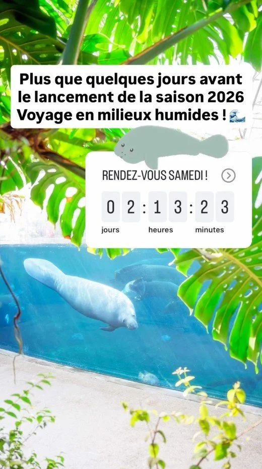 2026 Instagram story for the Zoo de Paris, MNHN, Paris