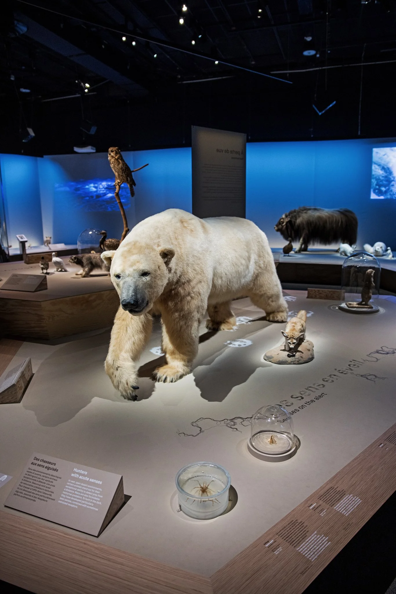 Déserts - Août 2025