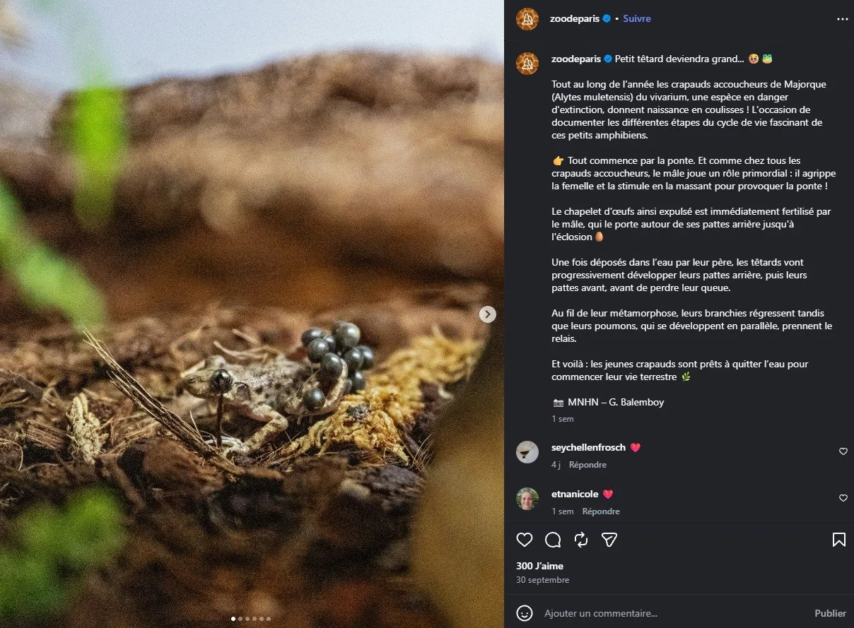 2026 Instagram post for the Zoo de Paris, MNHN, Paris