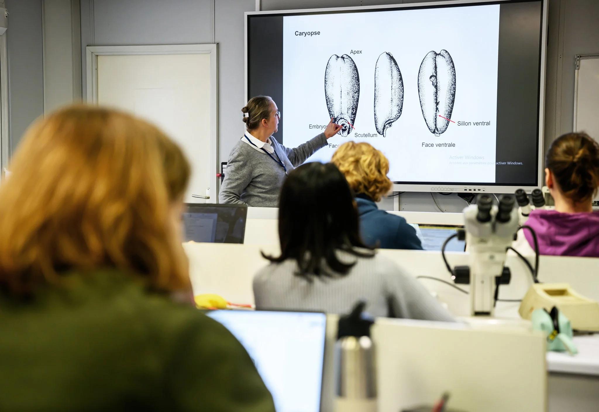 Master BEE - Février 2026