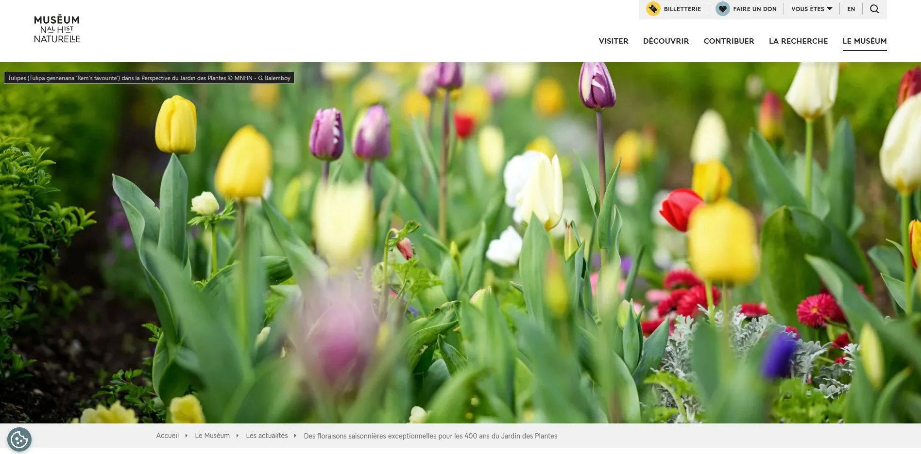 MNHN website, Paris, 2026