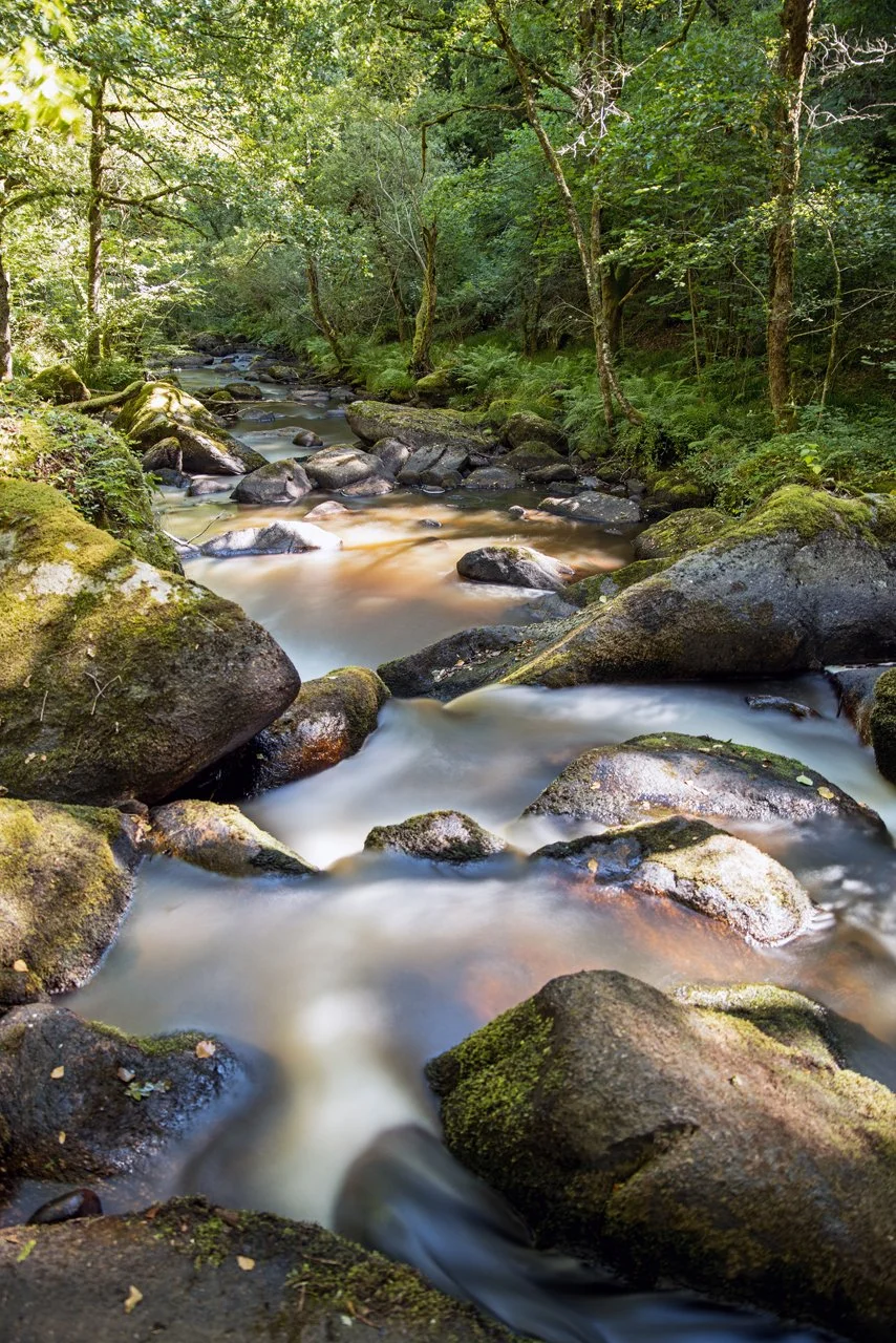 Rigole du diable, Le Monteil-au-Vicomte, Creuse, France - 2025