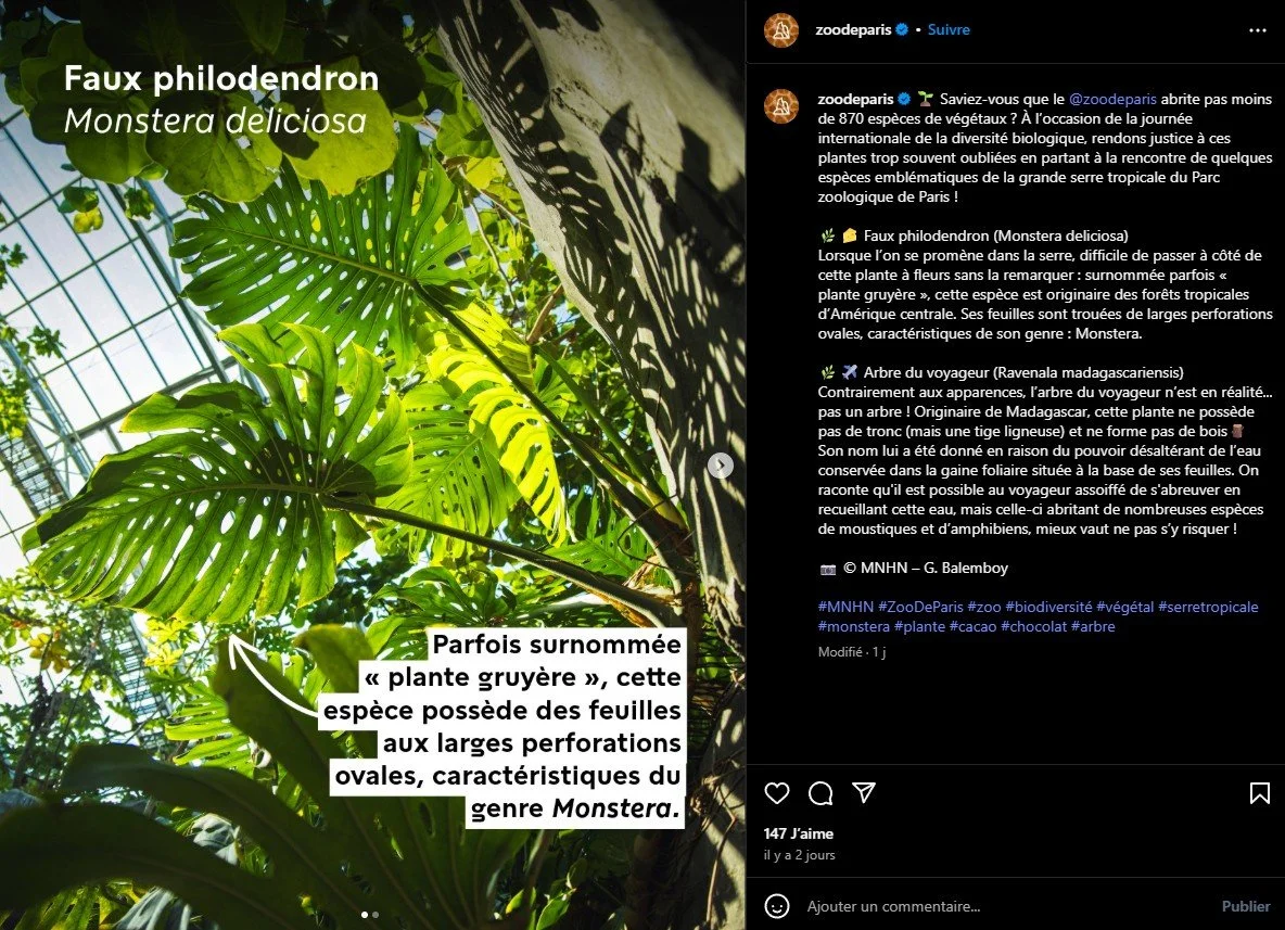 2025 Instagram post for the Zoo de Paris, MNHN, Paris