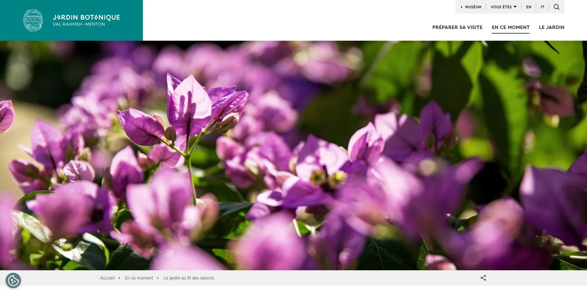 "Val Rahmeh" website, MNHN, Paris - 2025