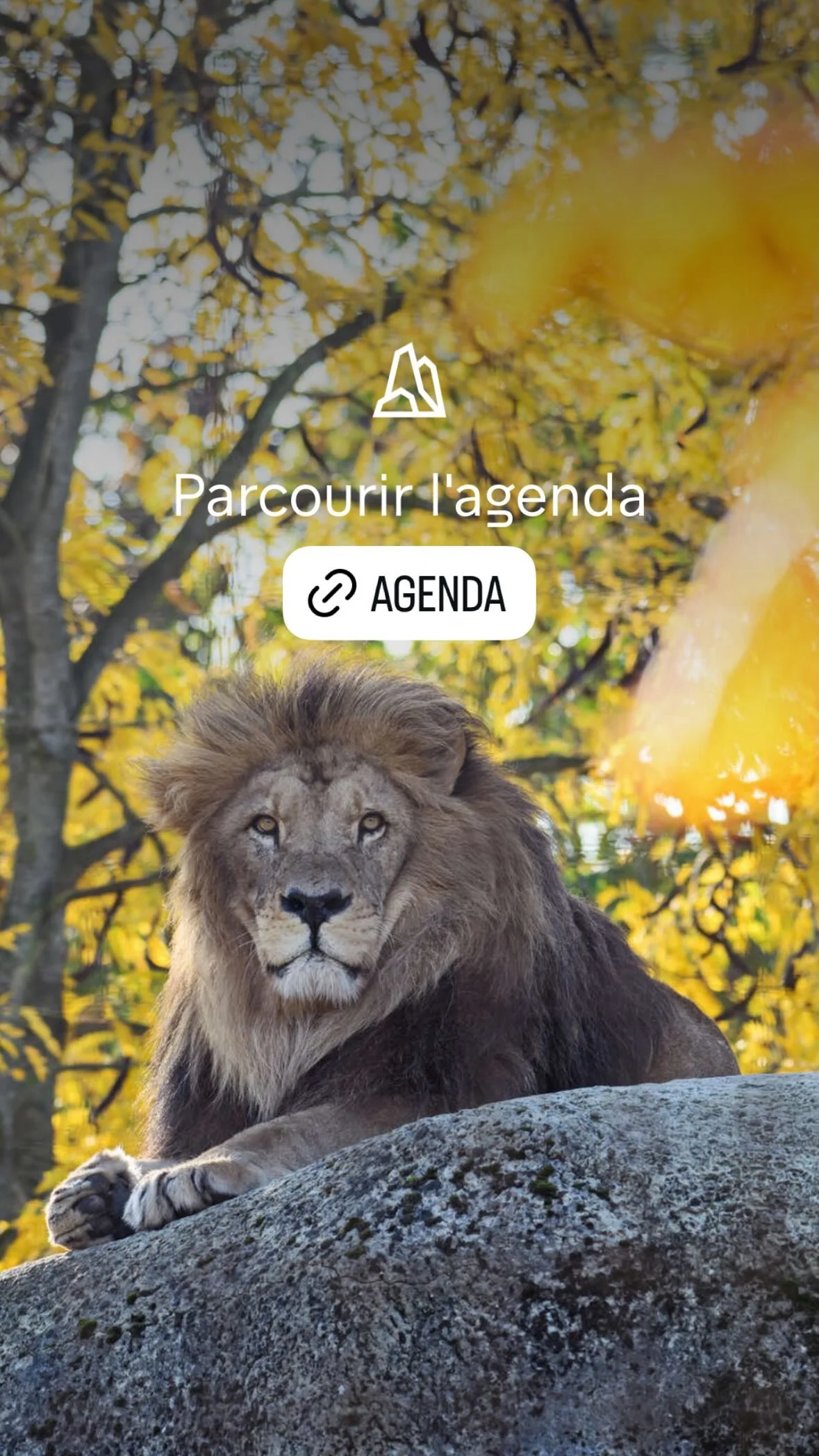 2025 Instagram story for the Zoo de Paris, MNHN, Paris