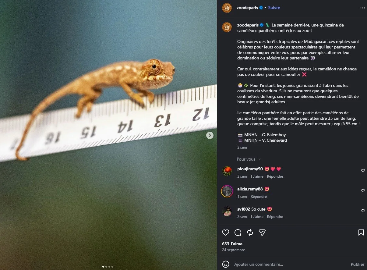 2026 Instagram post for the Zoo de Paris, MNHN, Paris