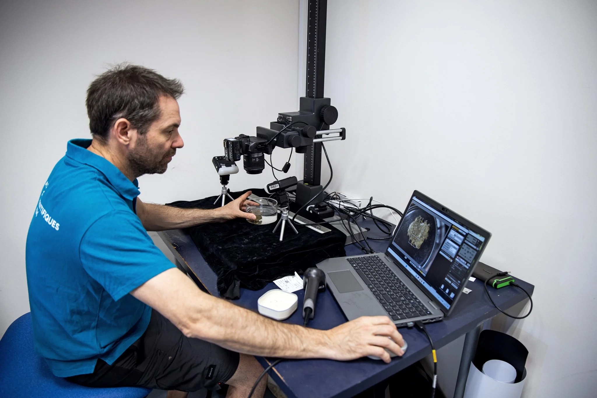 DIVE-Sea - Juin 2025