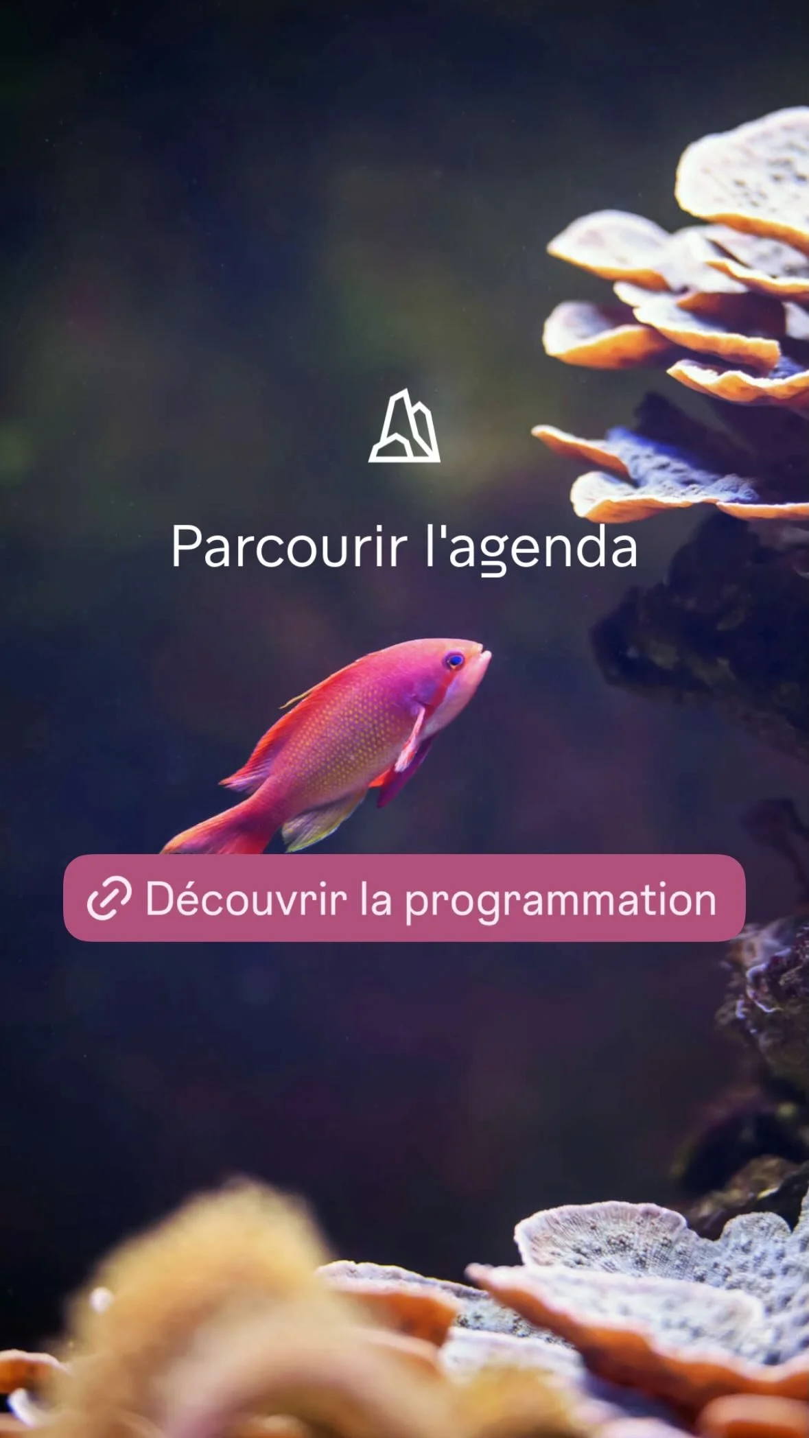 2026 Instagram story for the Zoo de Paris, MNHN, Paris