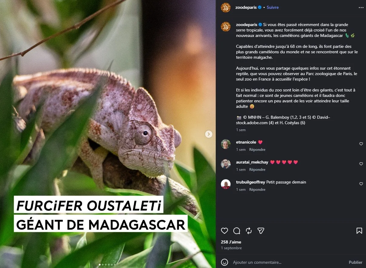 2026 Instagram post for the Zoo de Paris, MNHN, Paris