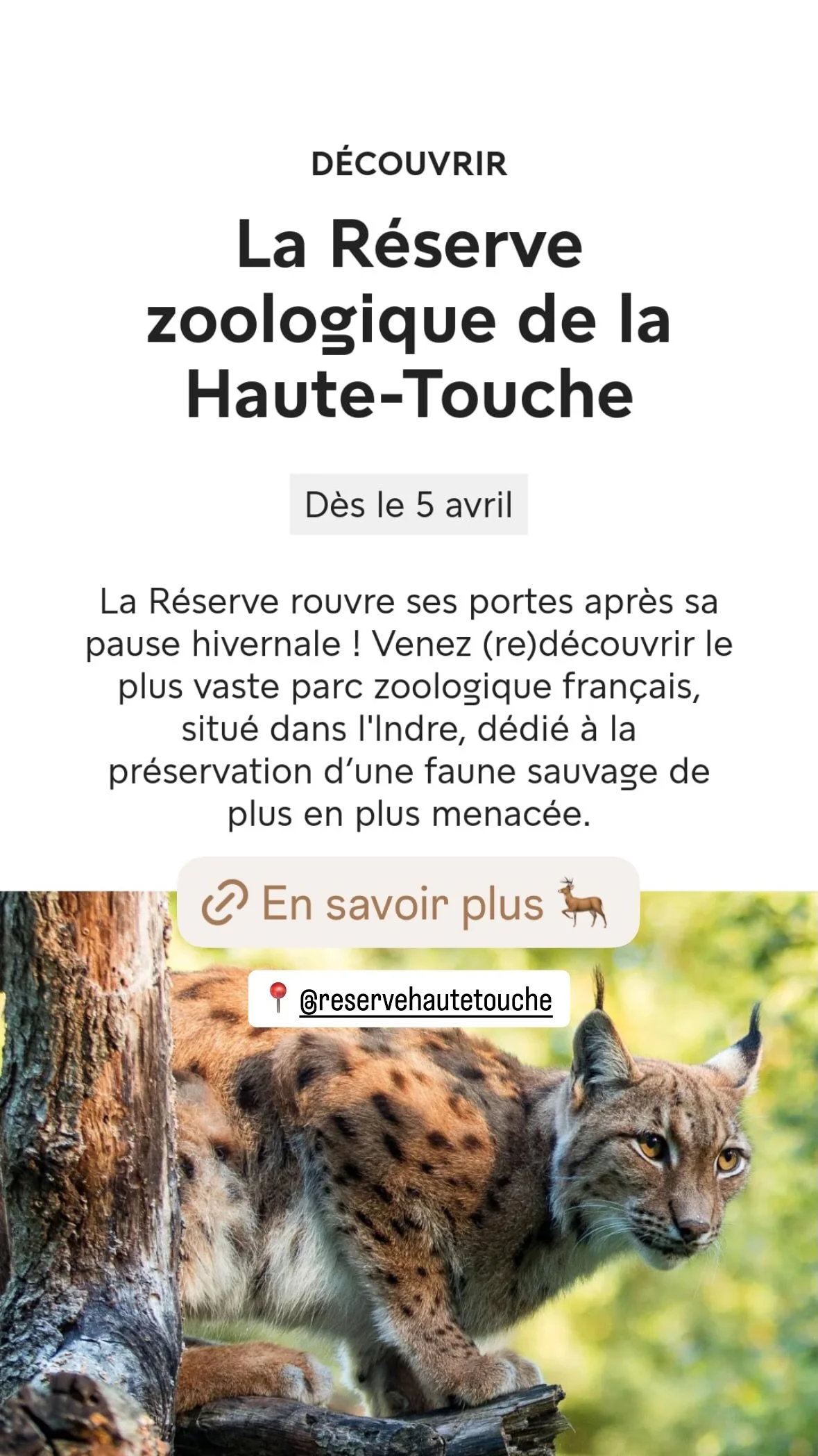 2026 Instagram story for the Muséum, MNHN, Paris