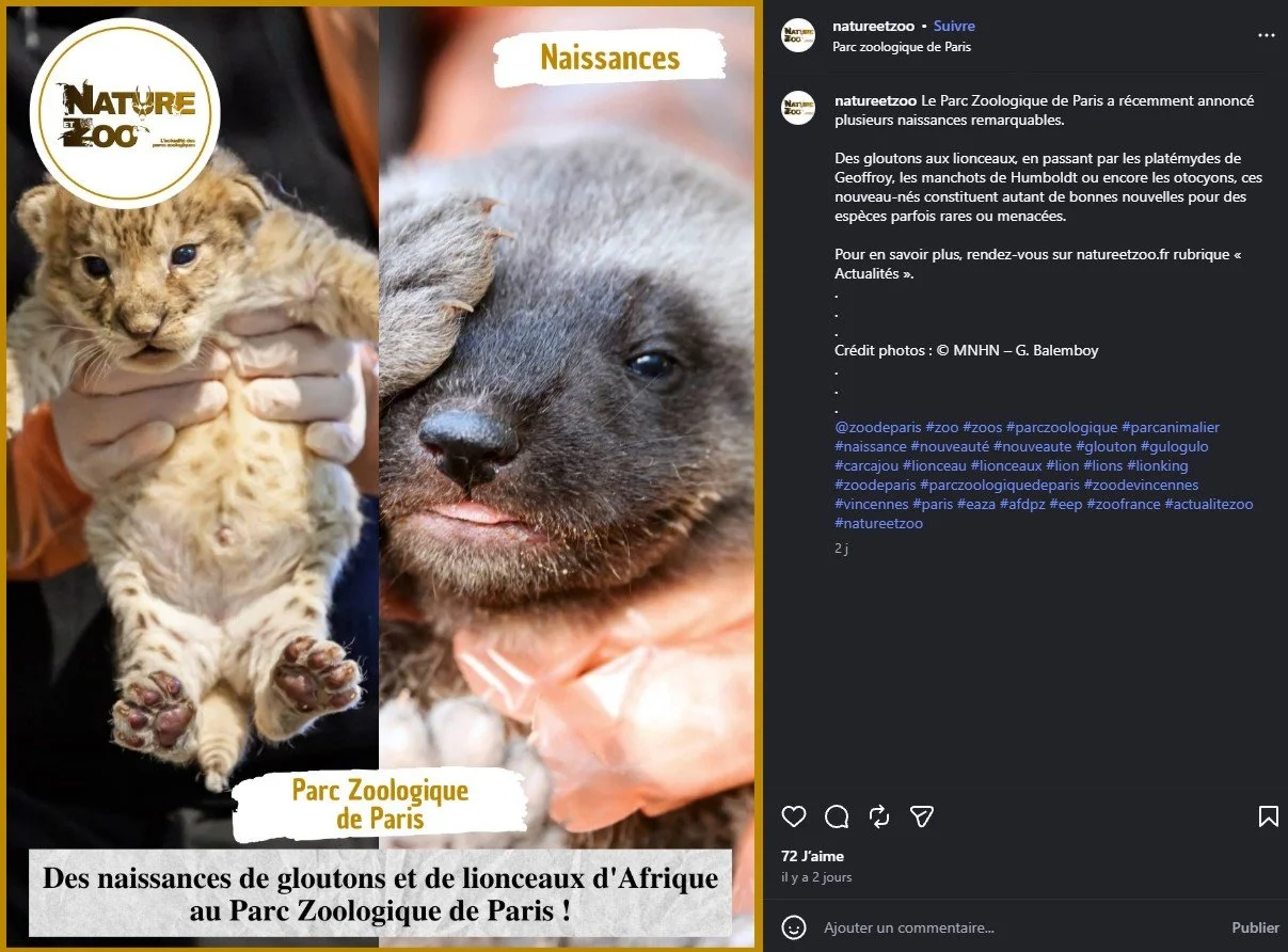 2026 Instagram post for Nature & Zoo